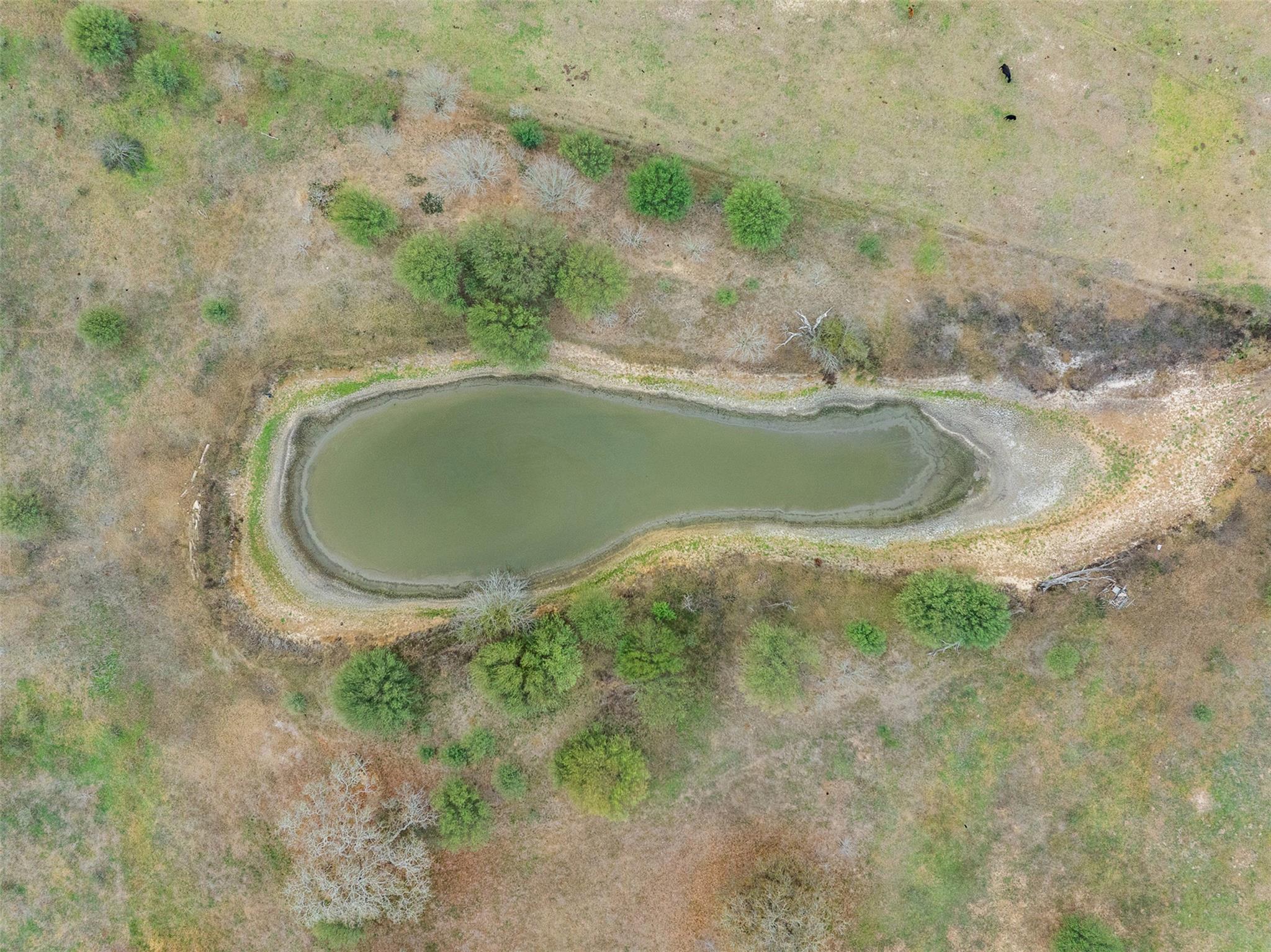 4025 County Road 284 # 46X