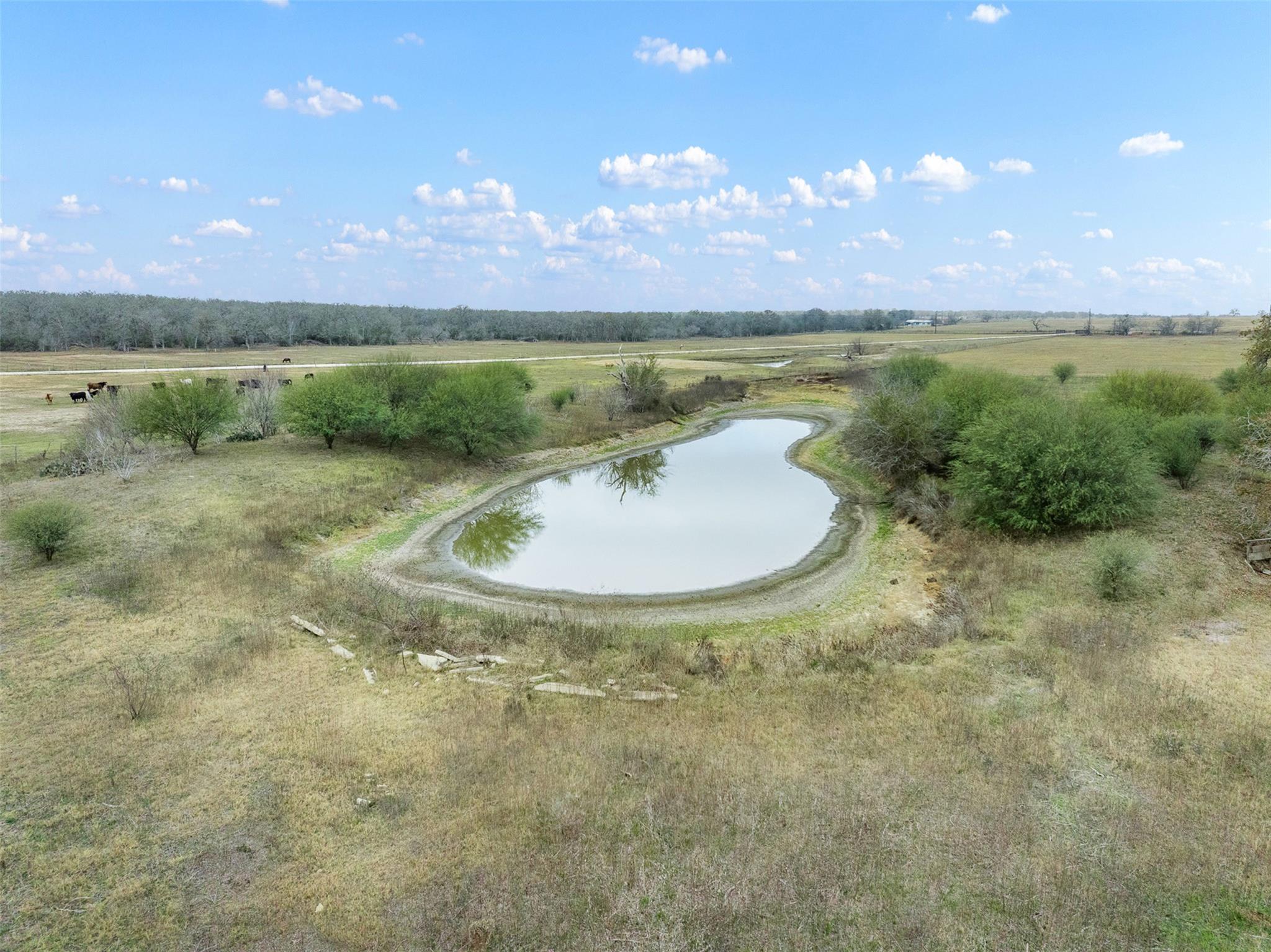 4025 County Road 284 # 46X