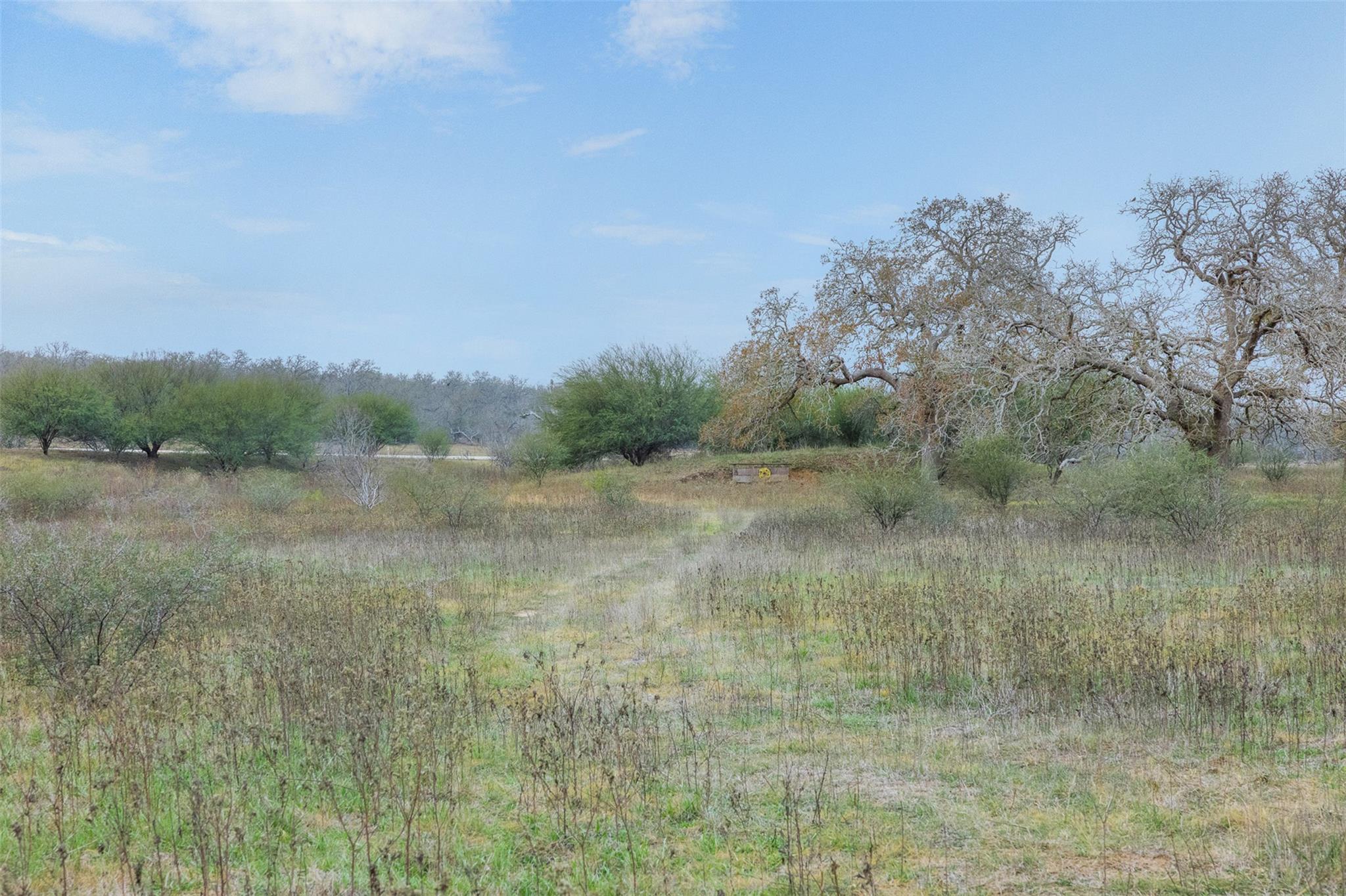 4025 County Road 284 # 46X