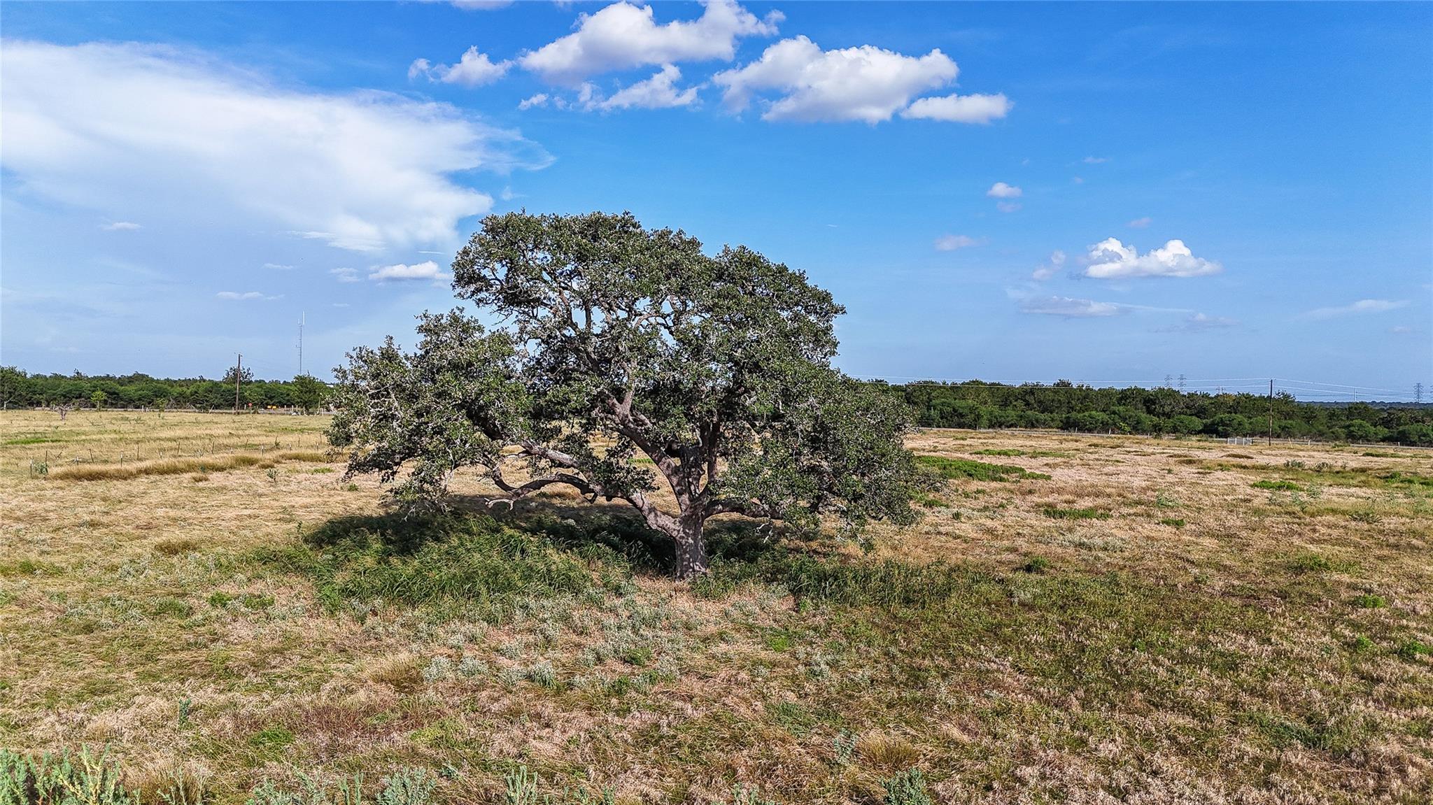 2171 E Highway 237