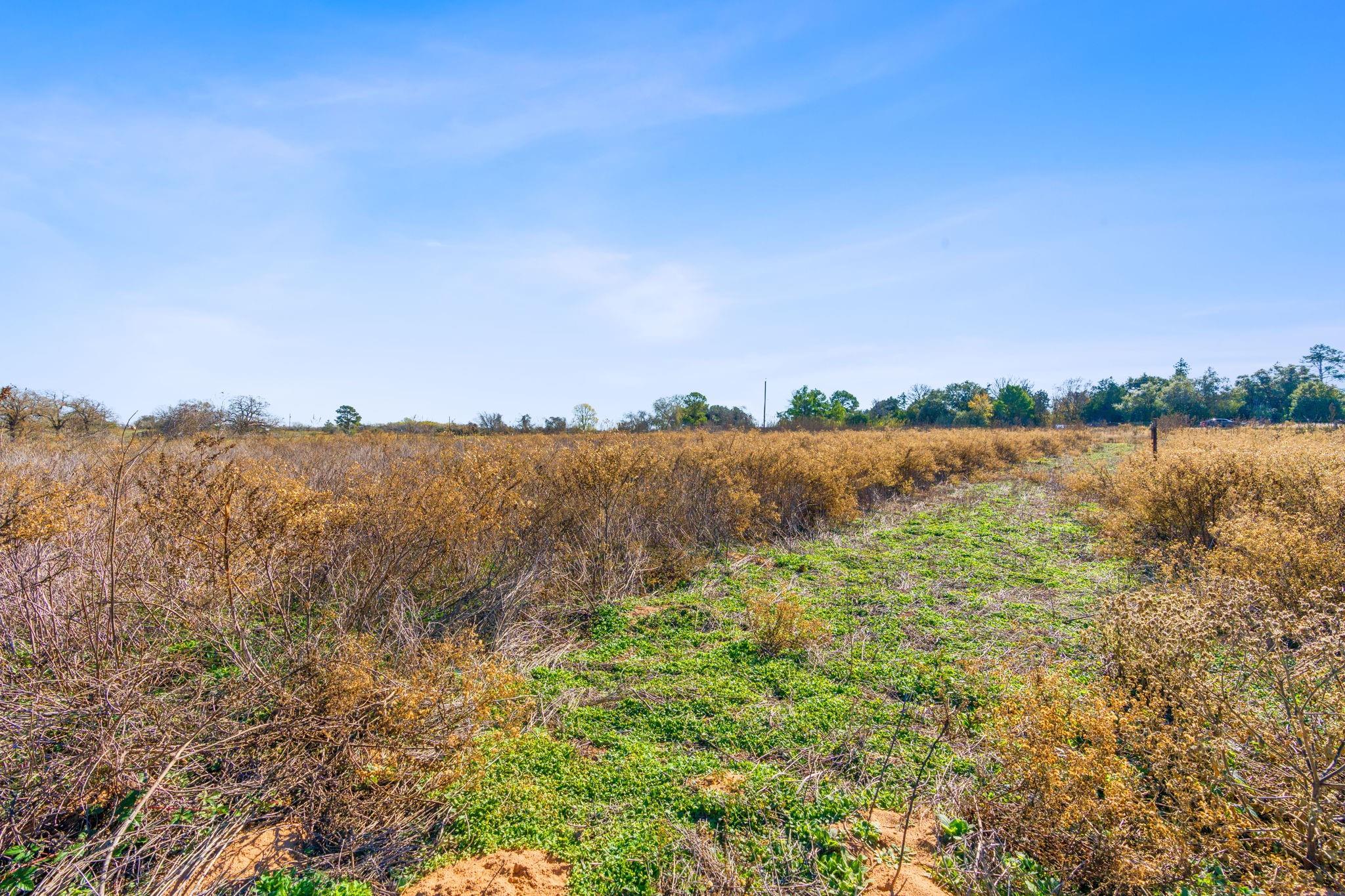 10996 US Highway 90 W