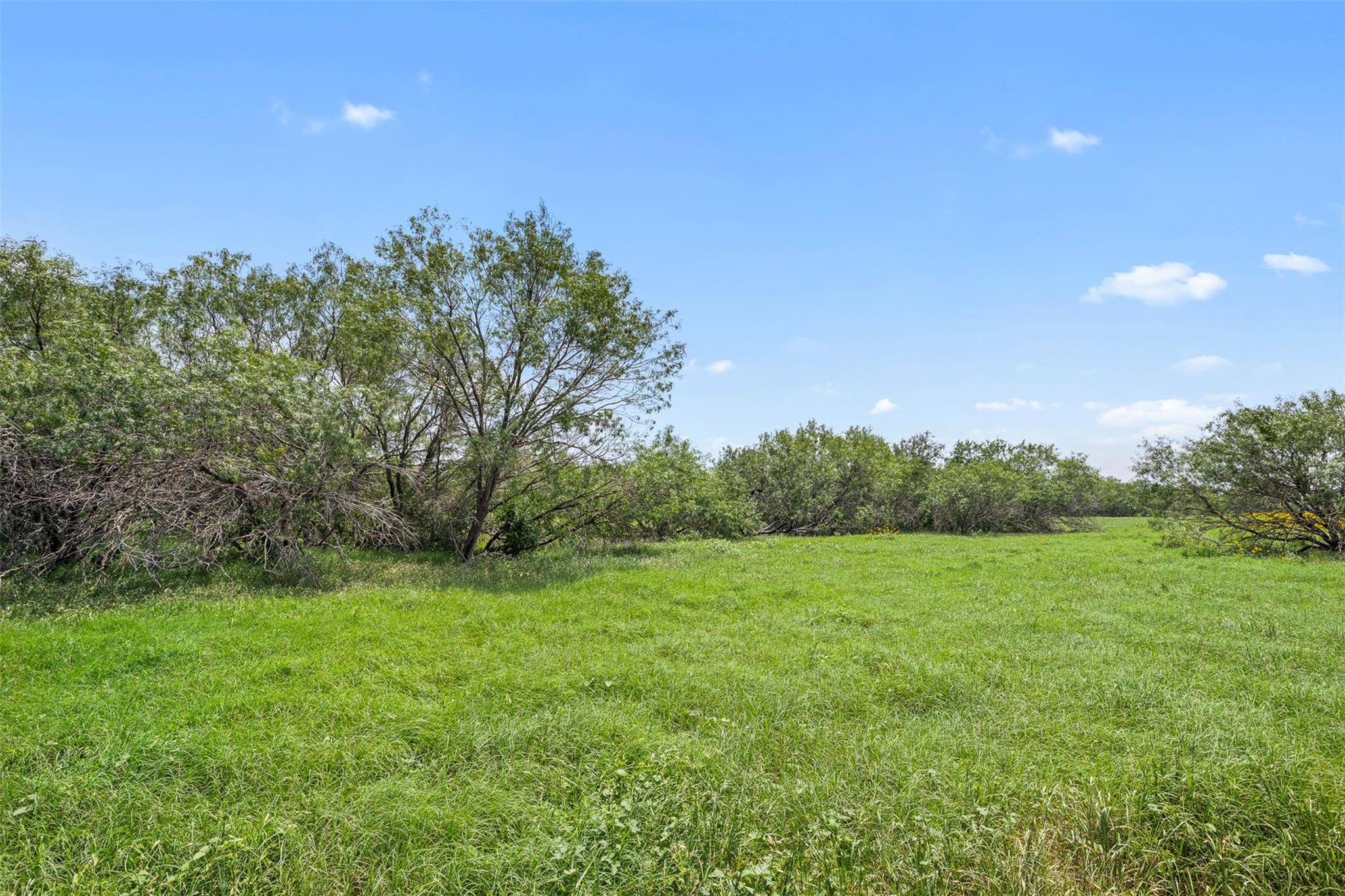 Lot 1 County Road 342