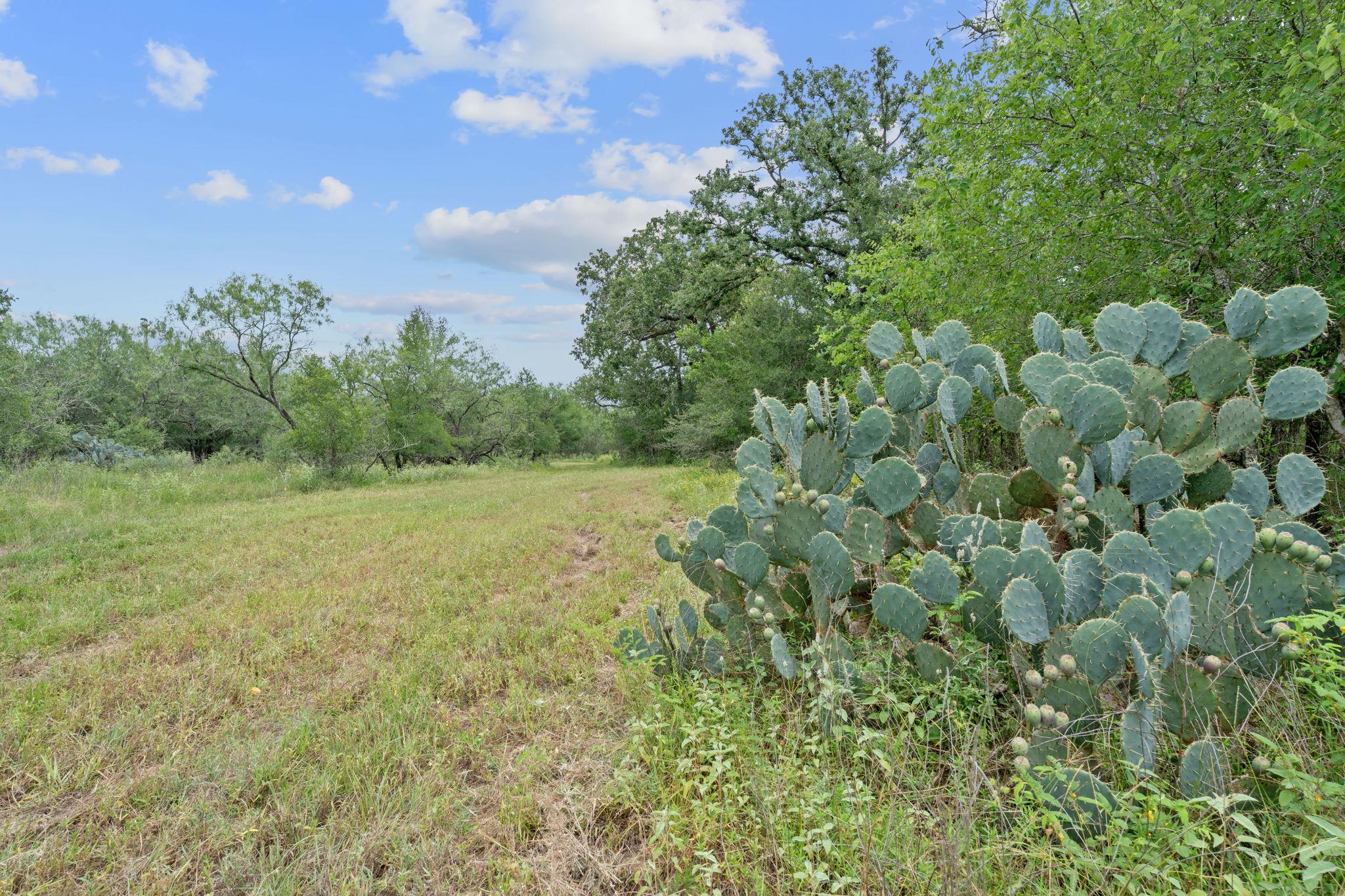 3597 Baker RD