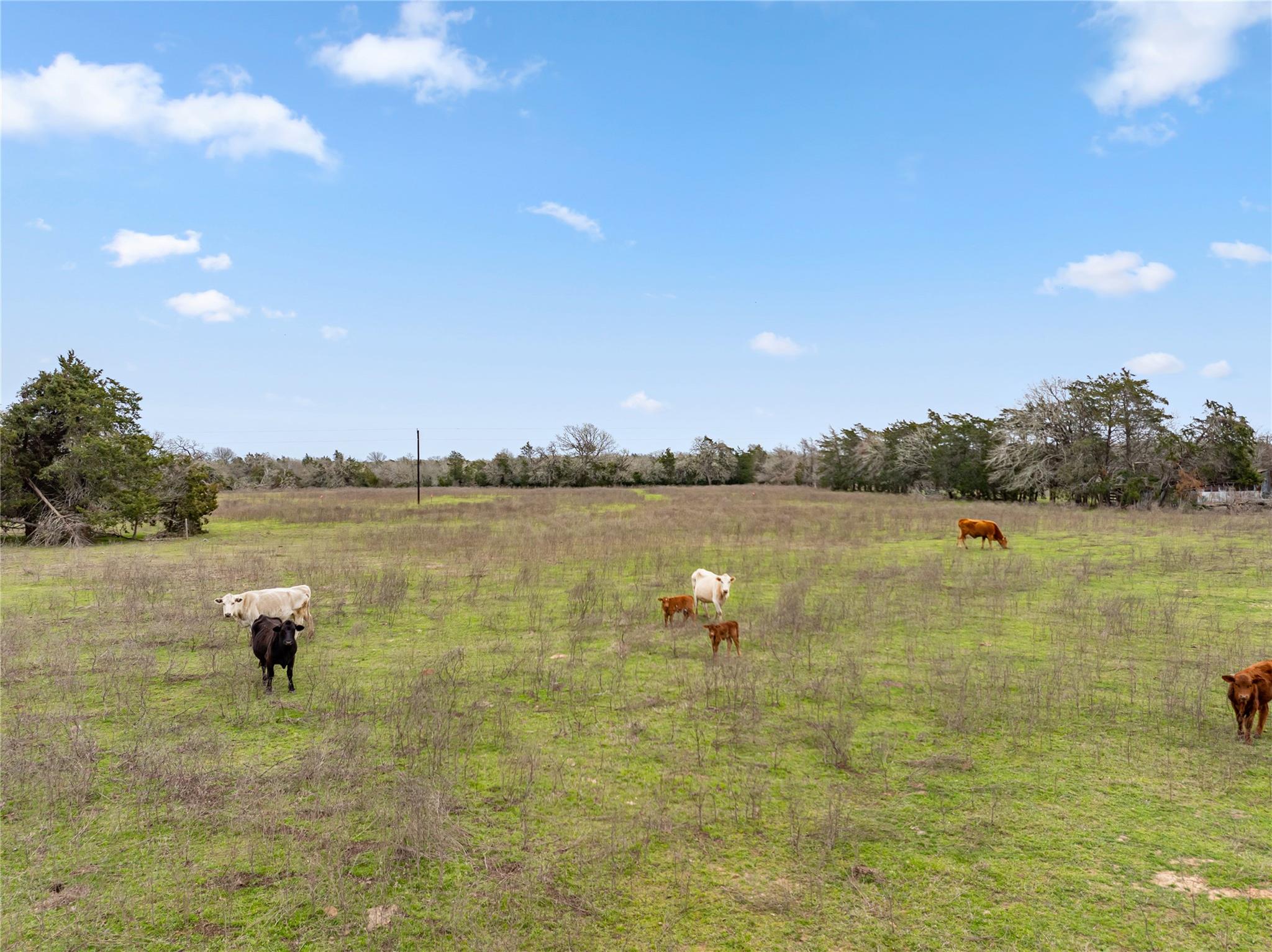 533 L7 Grassyville RD