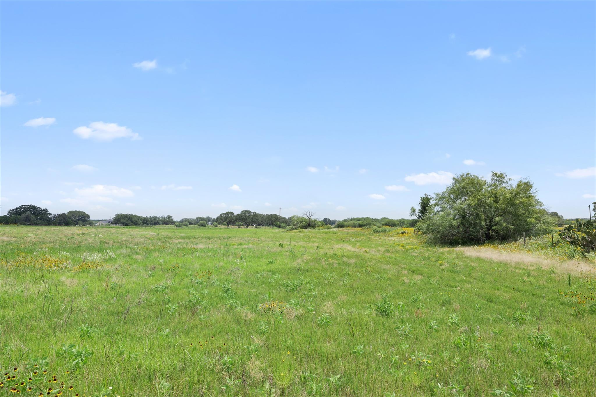 Lot 10 County Road 342