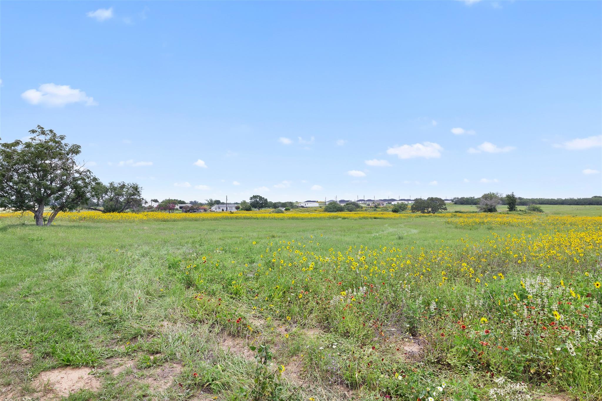 Lot 10 County Road 342