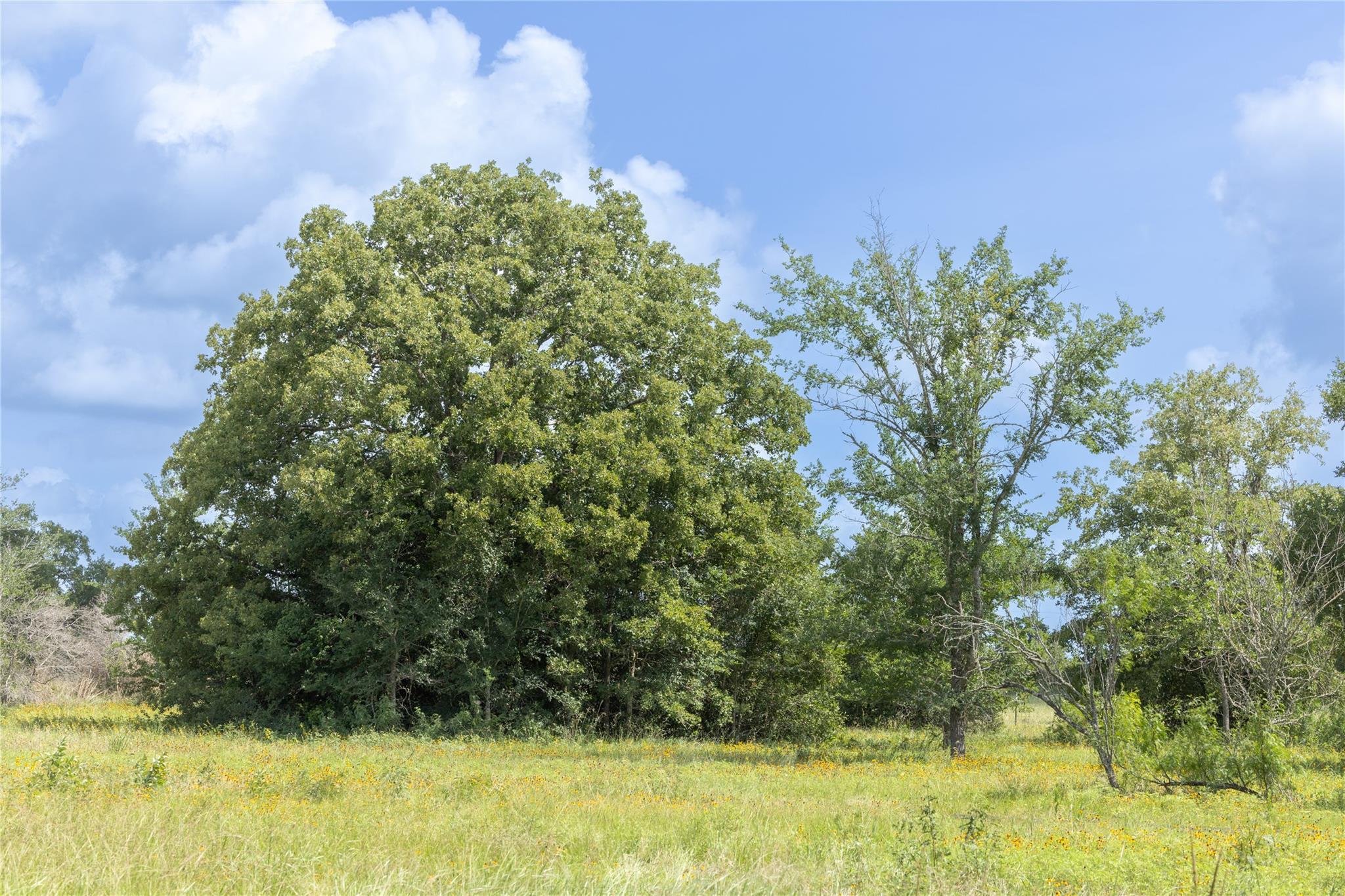 1382 County Road 125