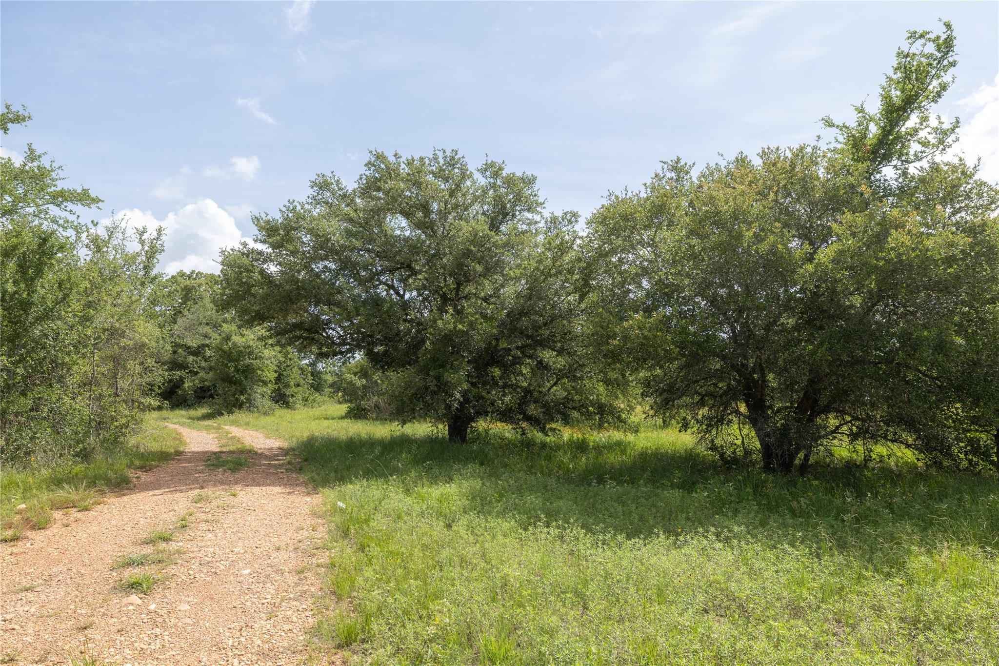 1382 County Road 125