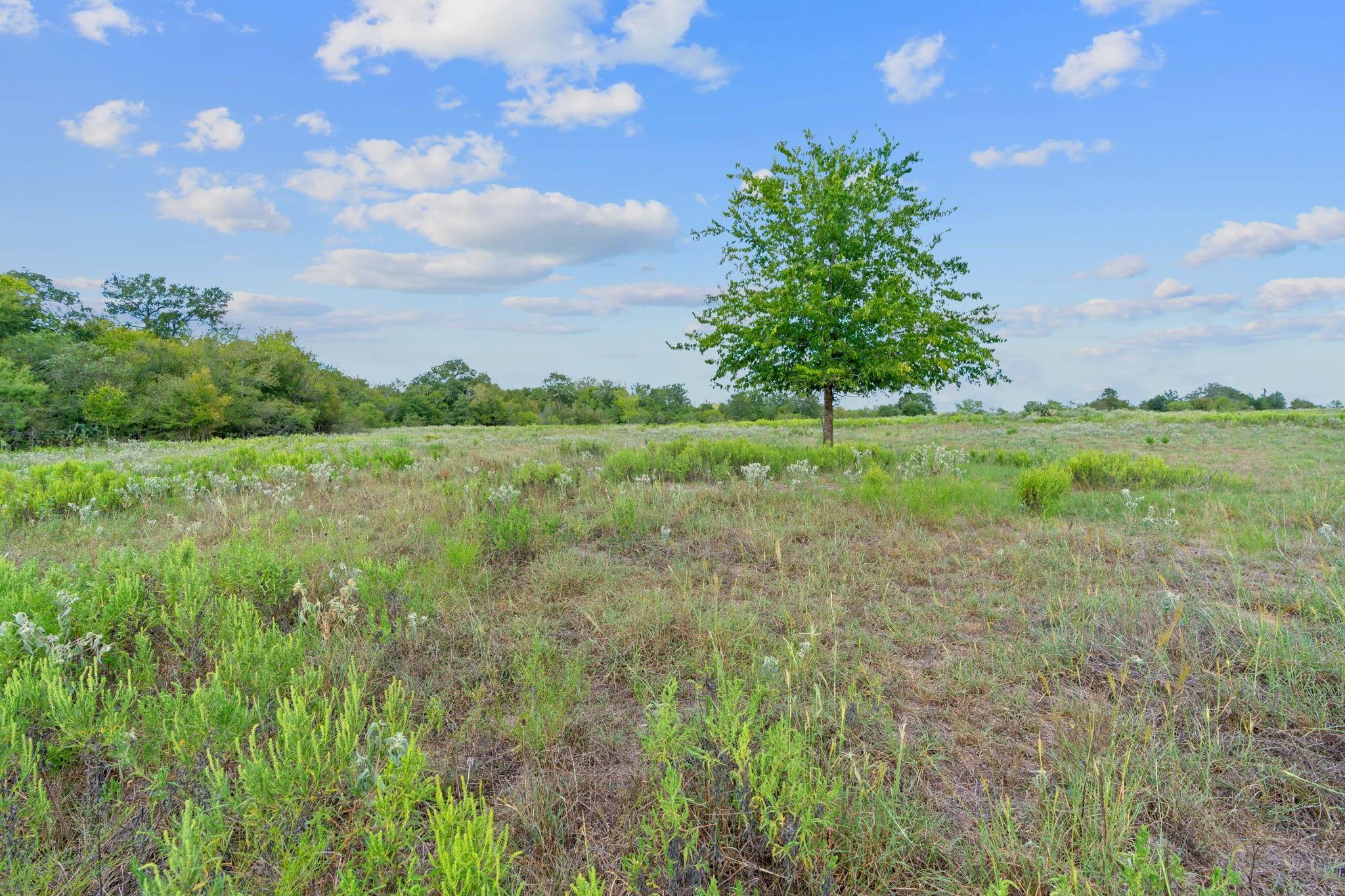 Lot 4 Private Road 4511 RD