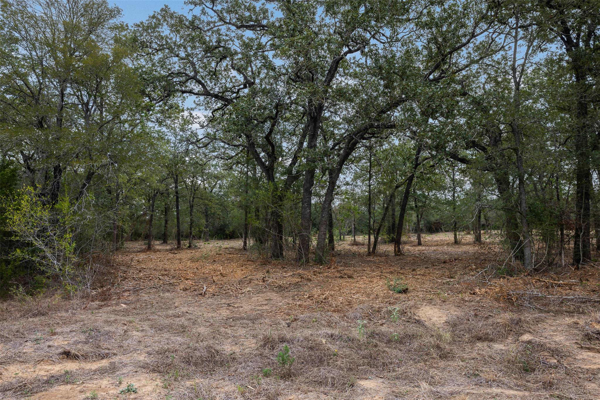 Lot 3 CR 491