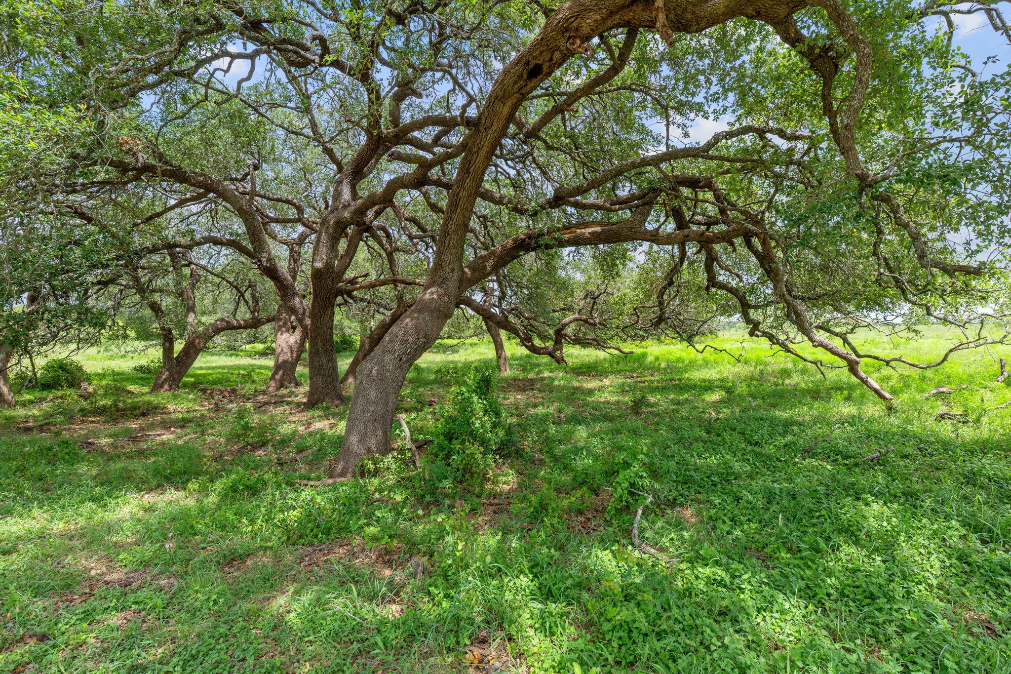TBD LOT 3 Sandy Acres RD