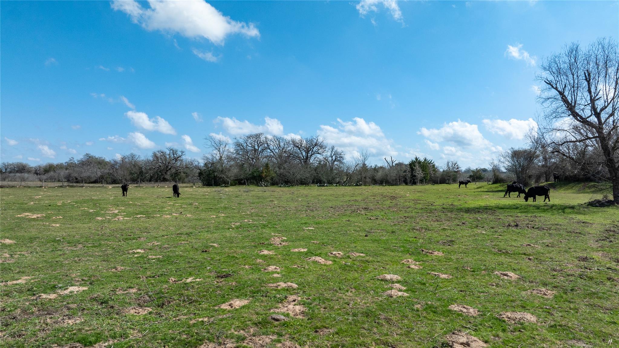 Lot 11 Mule Creek Rd