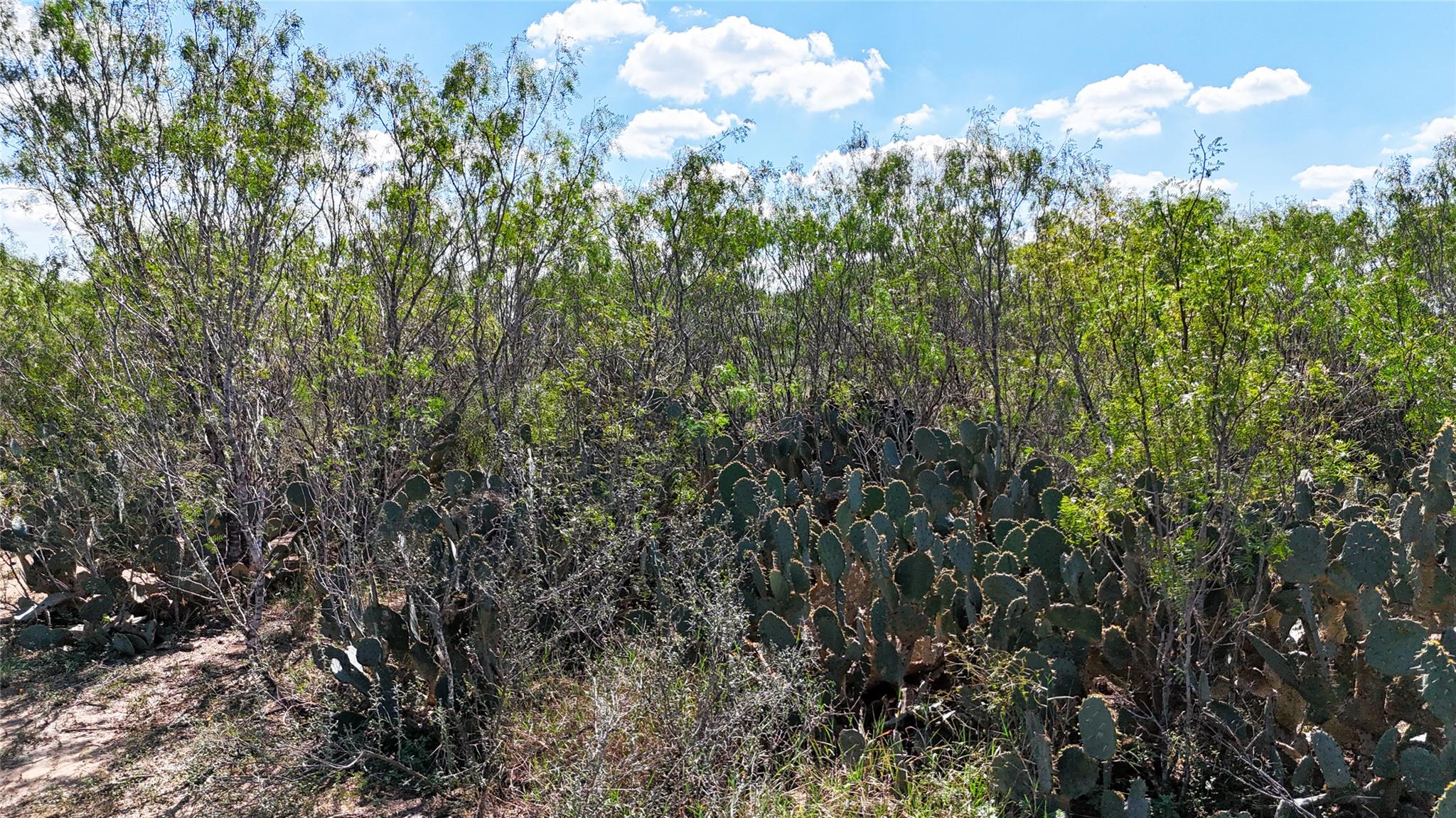 Lot 8 County Road 422