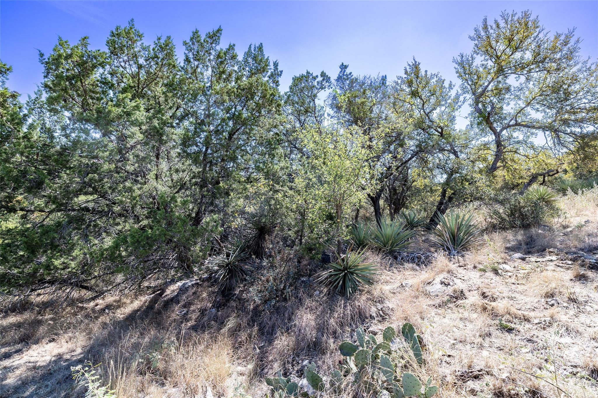 705 Fallow, Horseshoe Bay