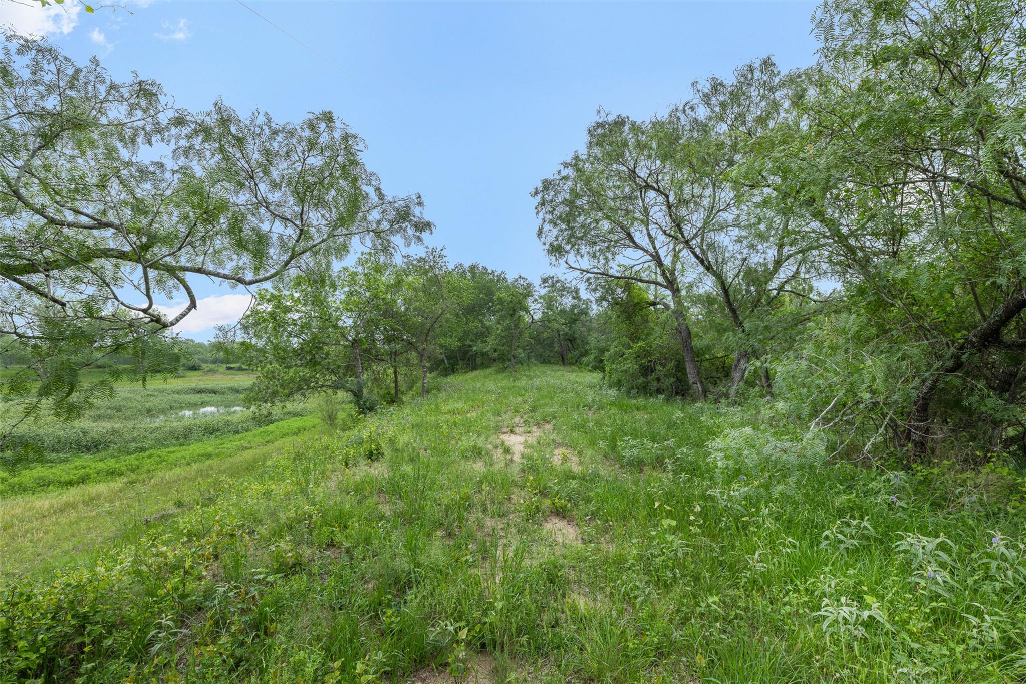 6497 Taylorsville RD