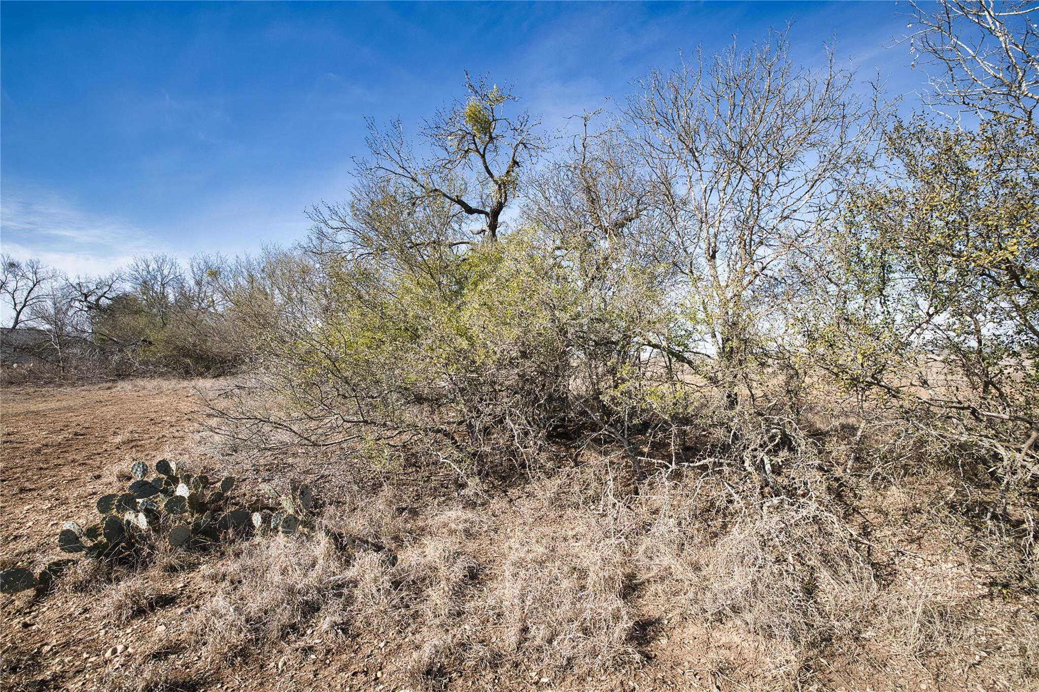 11639 Voges PASS