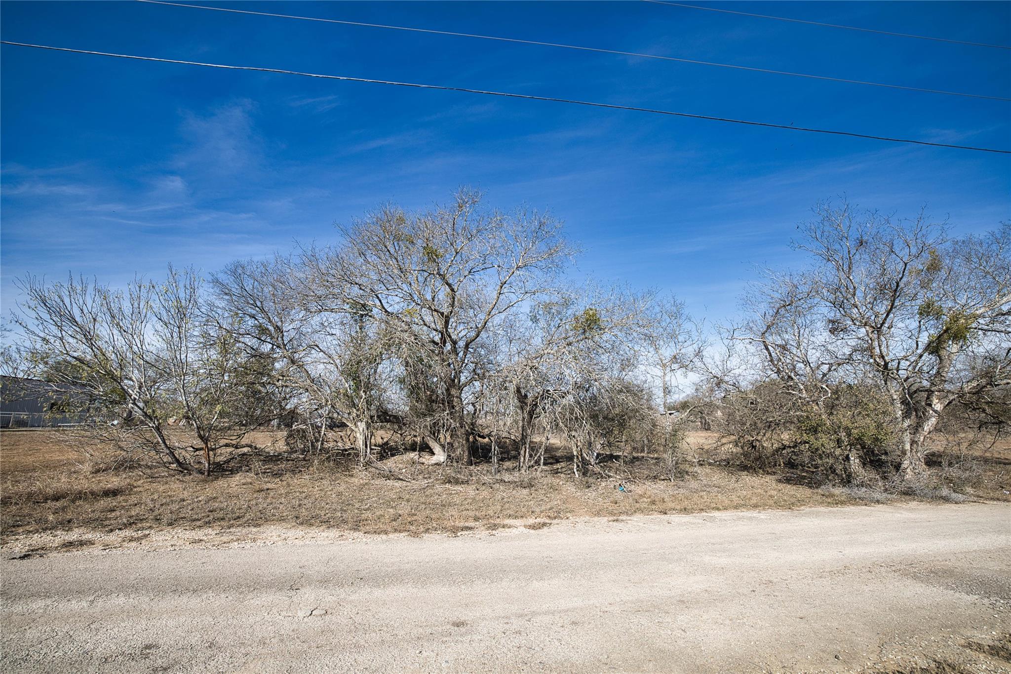 11639 Voges PASS