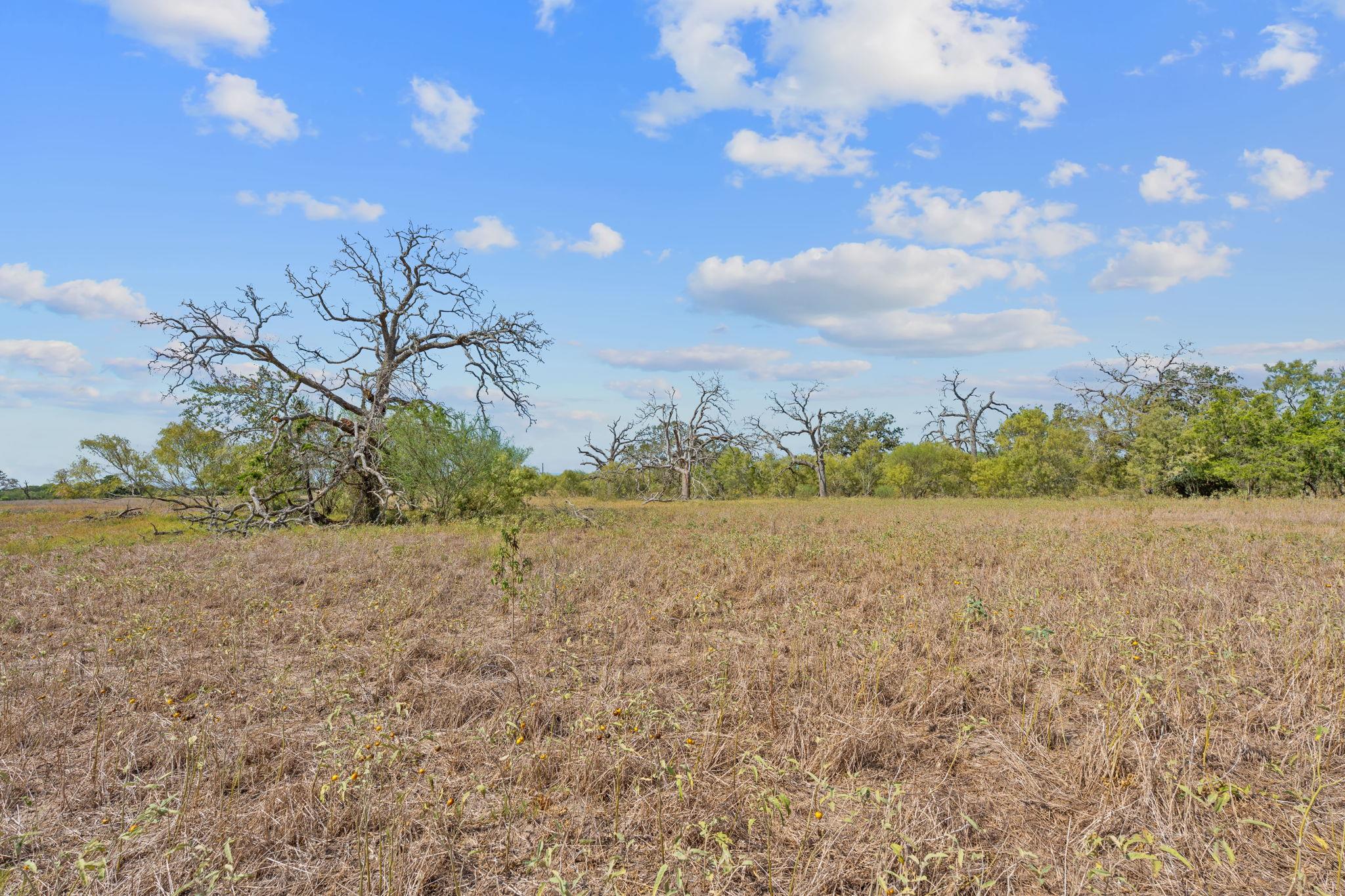 1177 County Road 402