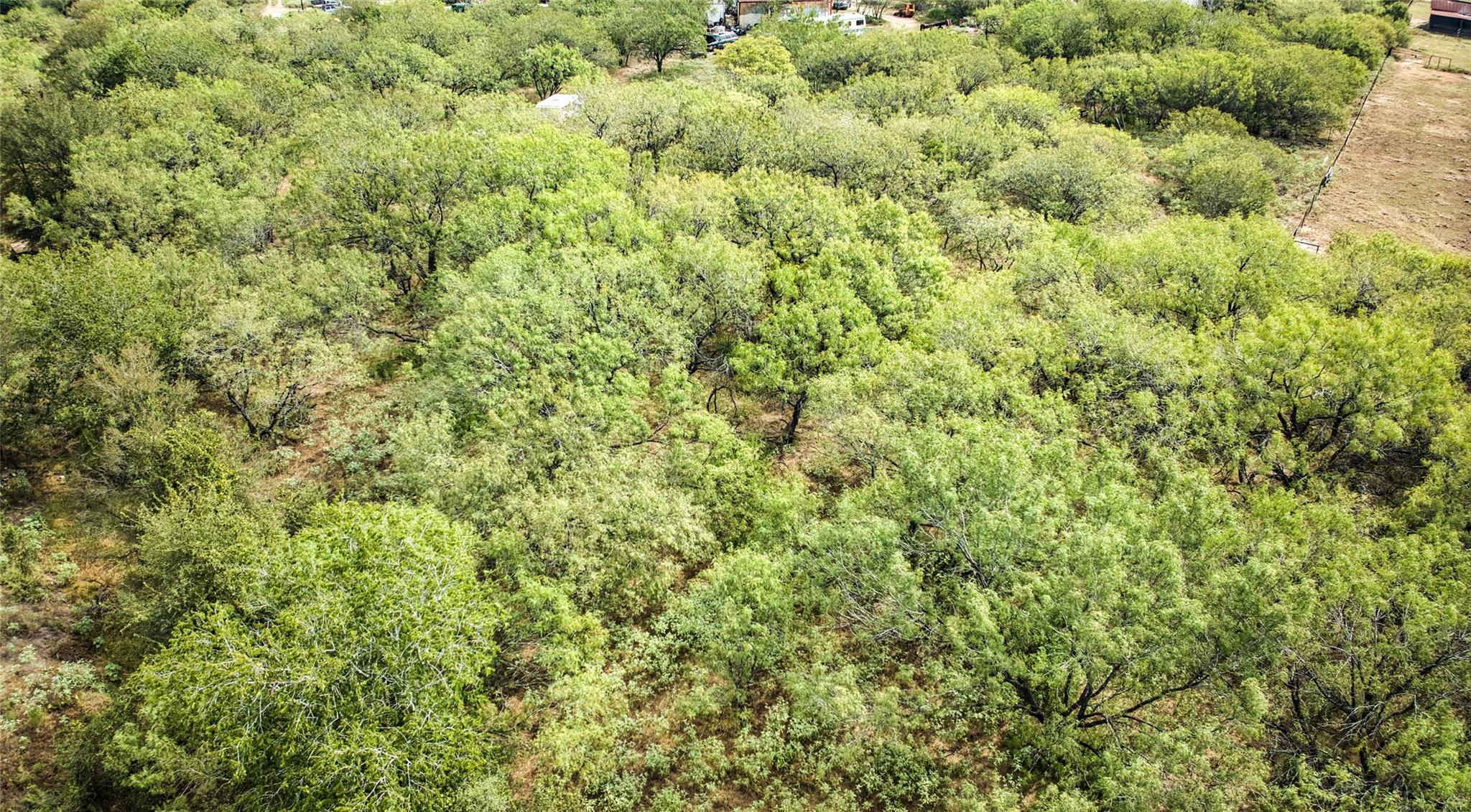 2900 Salt Flat RD