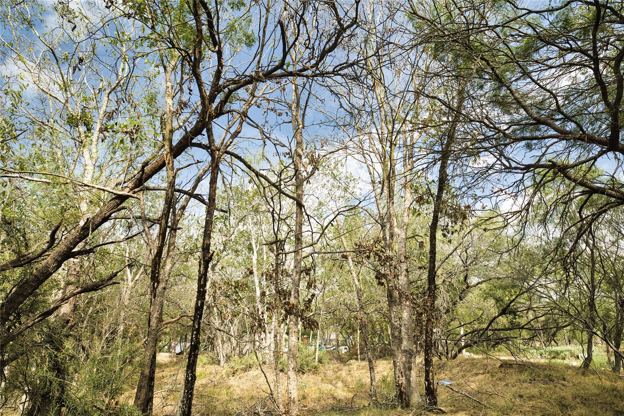 2900 Salt Flat RD