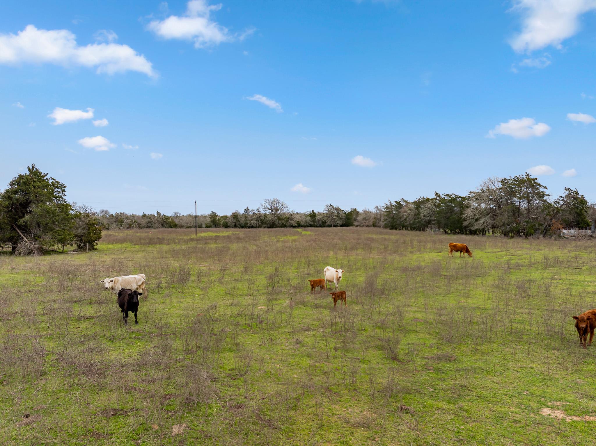 TBD Lot 4 Grassyville RD