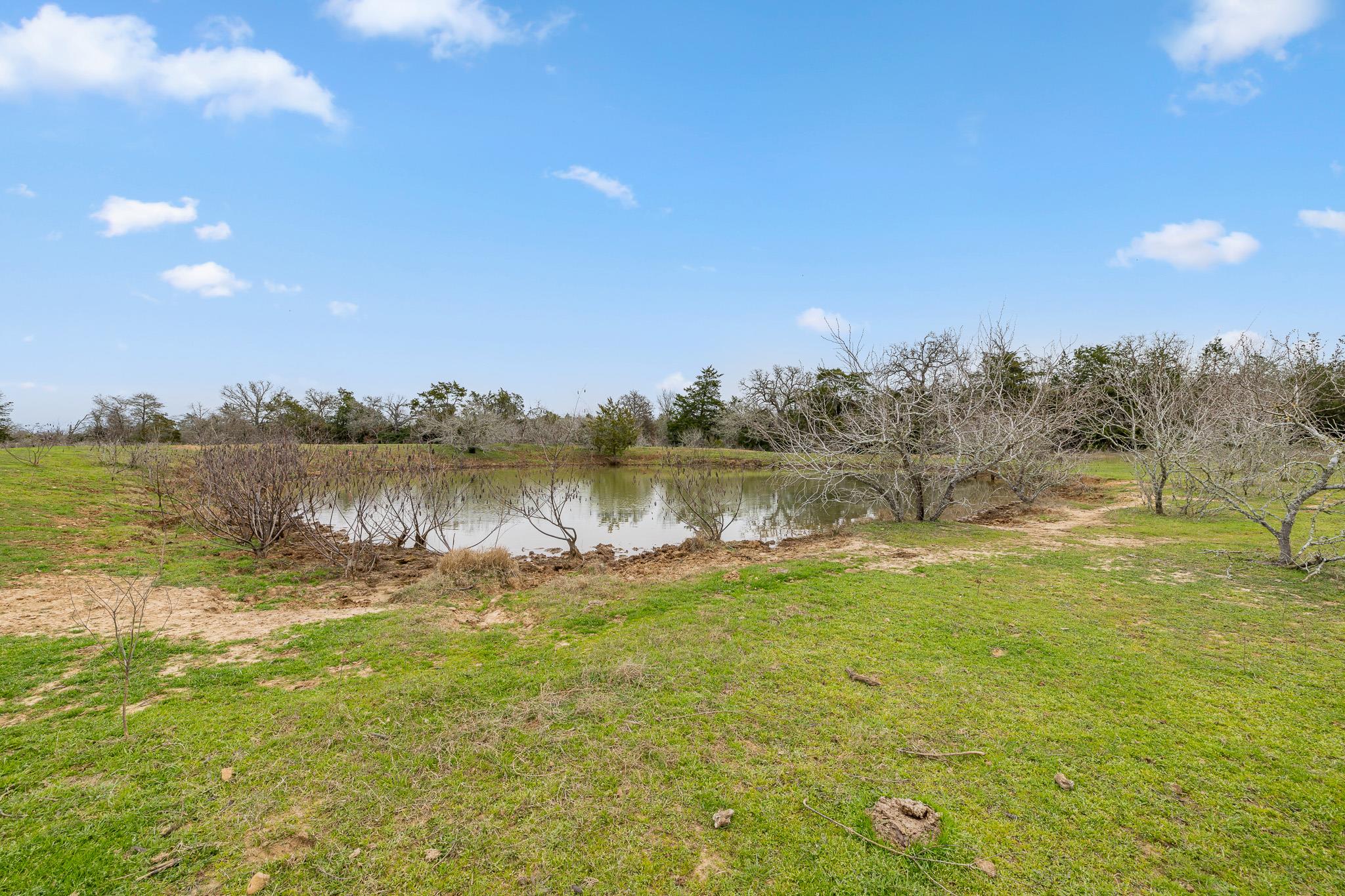 TBD Lot 4 Grassyville RD