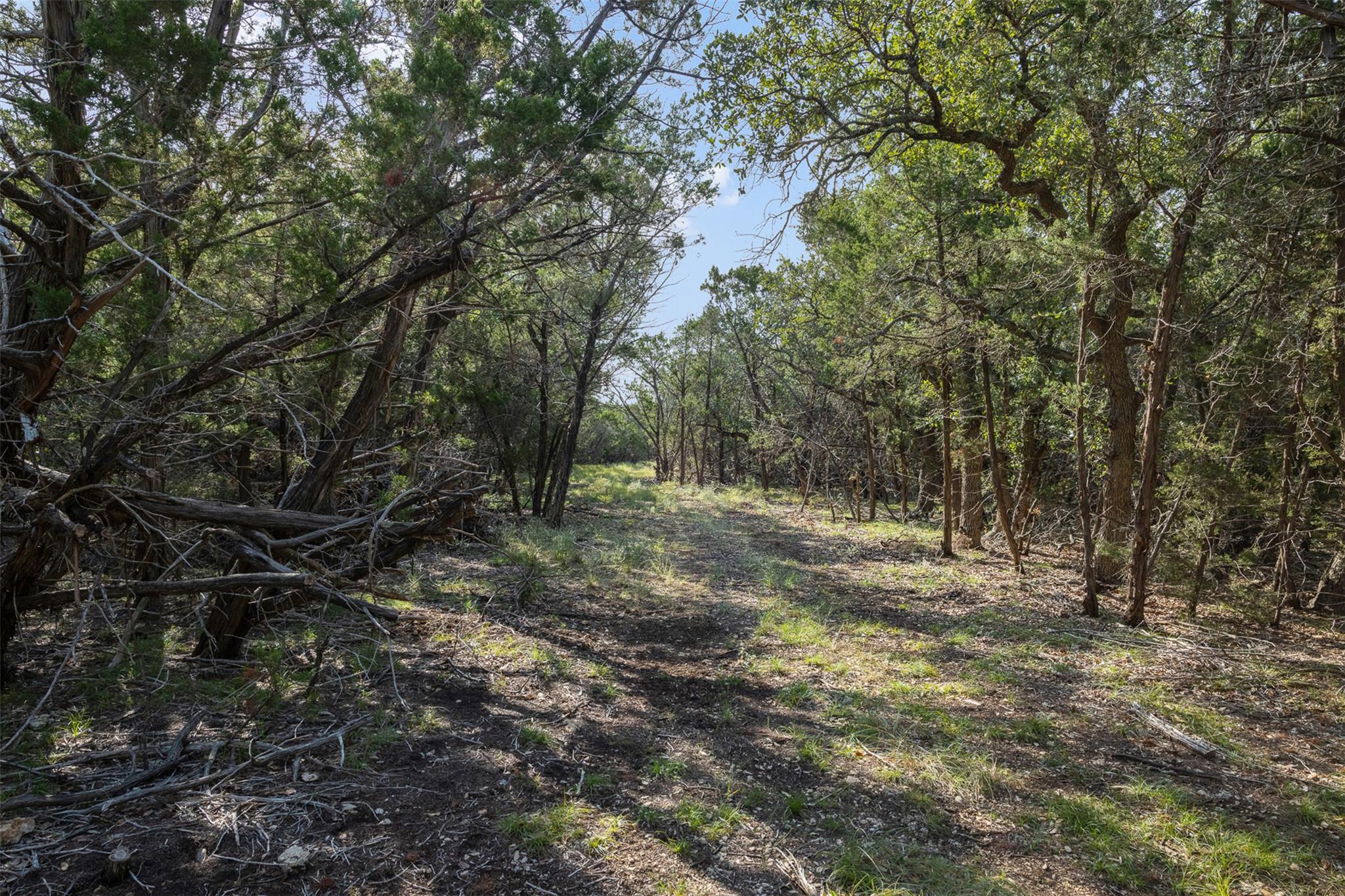 601 Mount Olive School RD