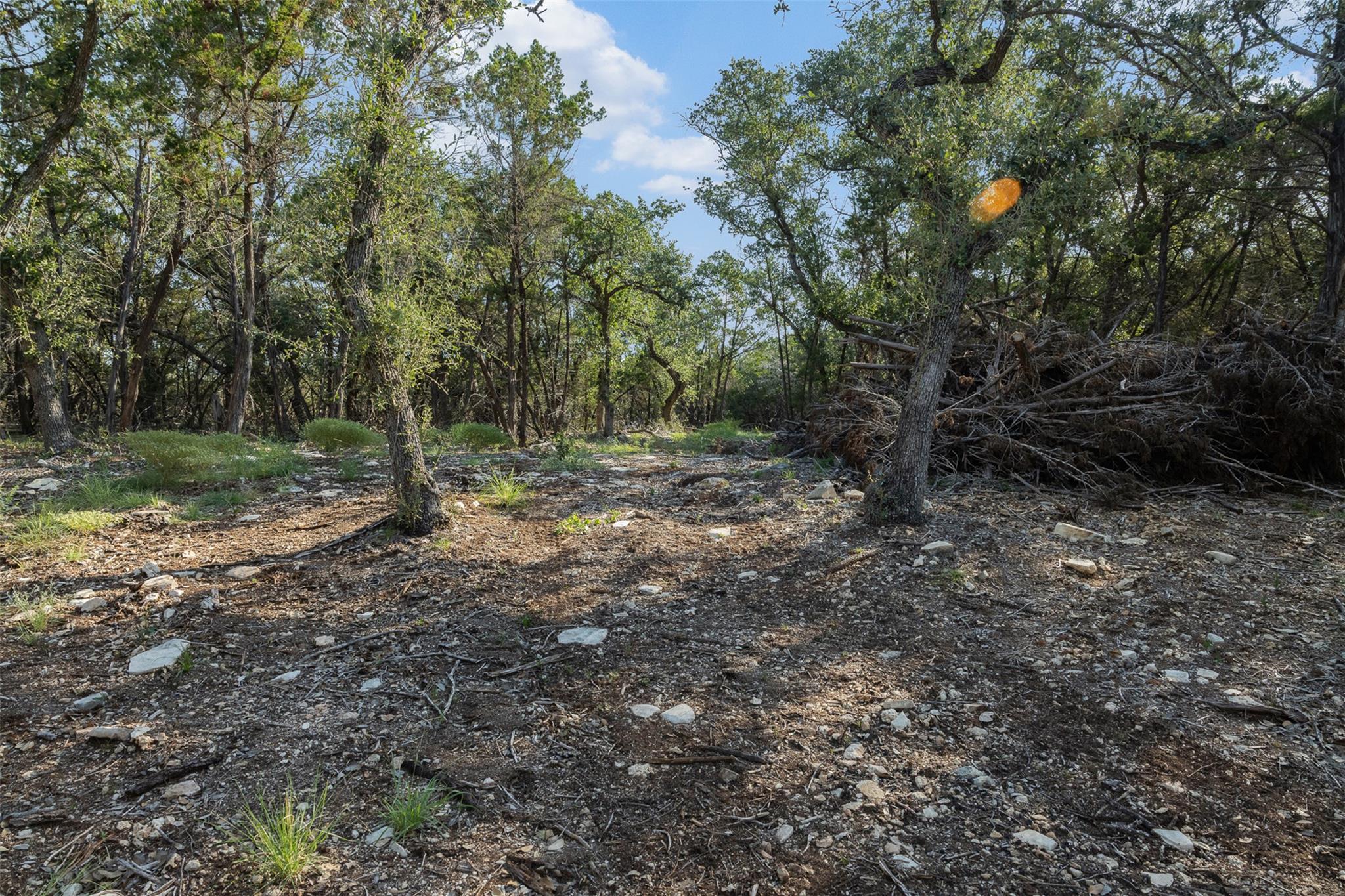 601 Mount Olive School RD