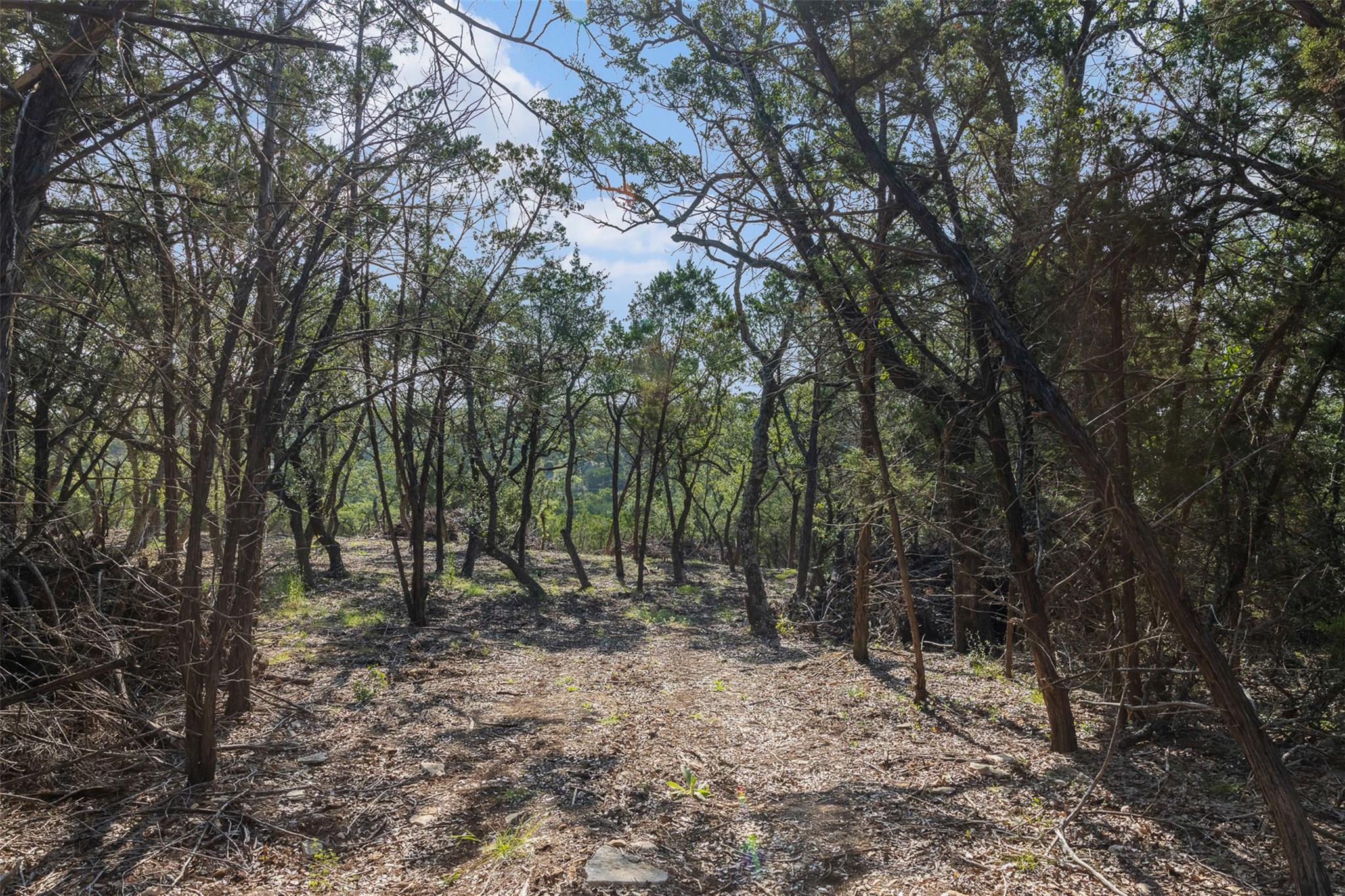 601 Mount Olive School RD