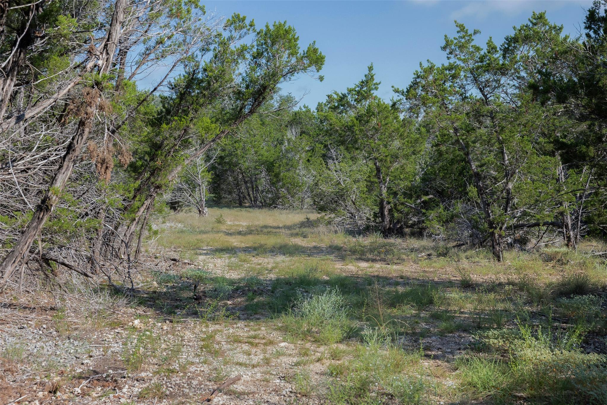 601 Mount Olive School RD