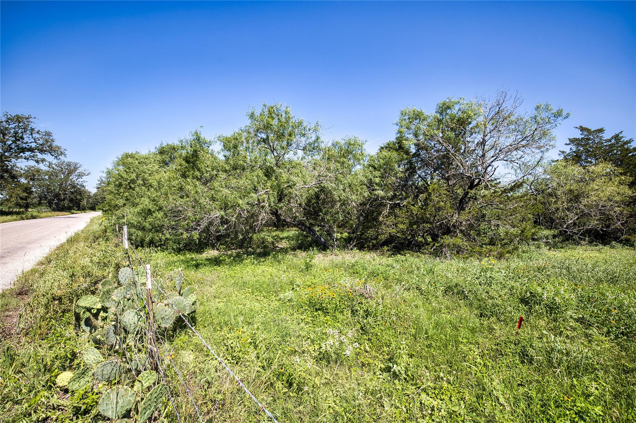 Lot 1C Shiloh DR