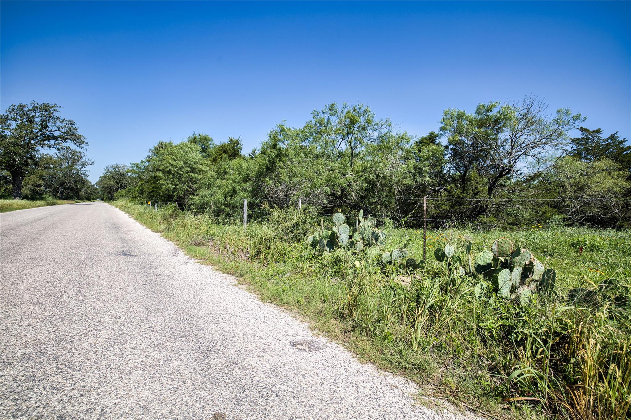 Lot 1C Shiloh DR