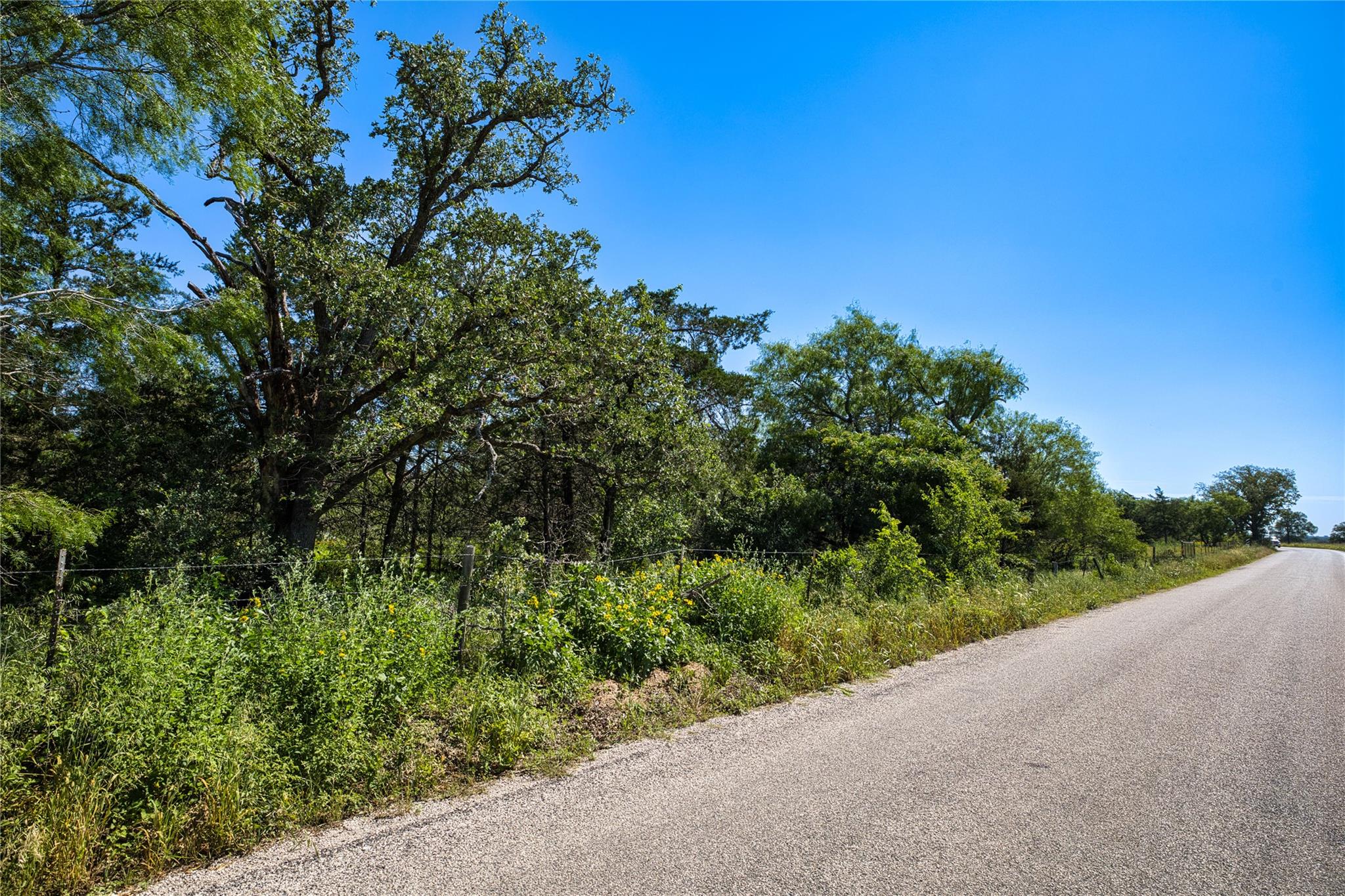 Lot 1C Shiloh DR