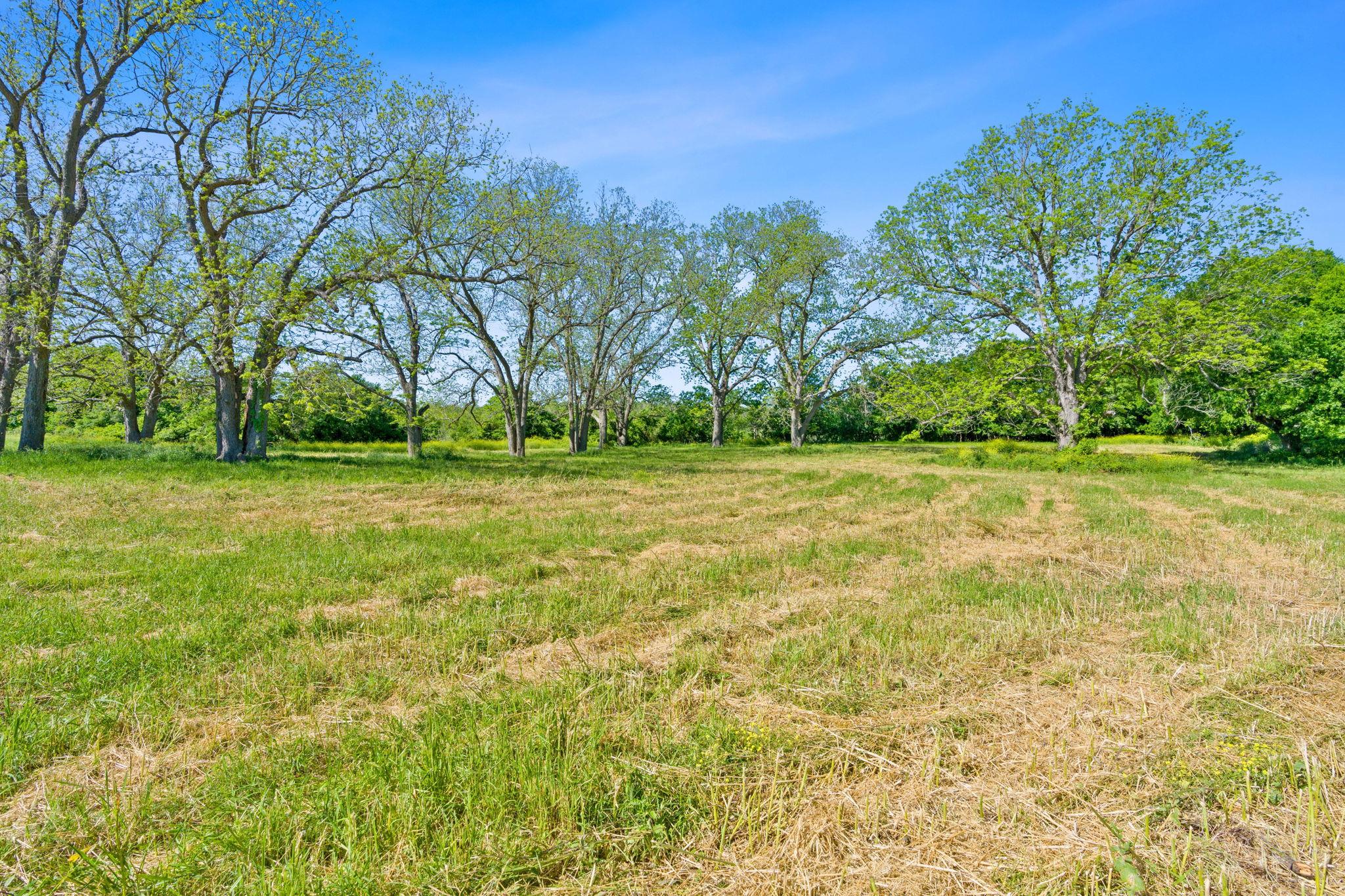 663 SH 230 Loop, Smithville