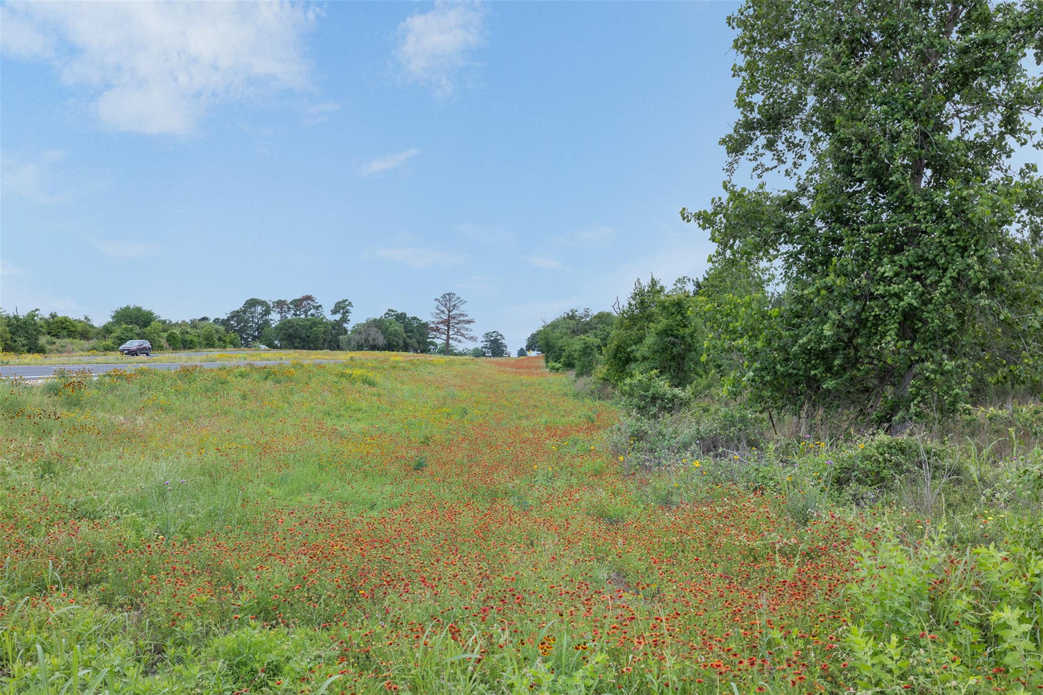 TBD Lot 20c County RD