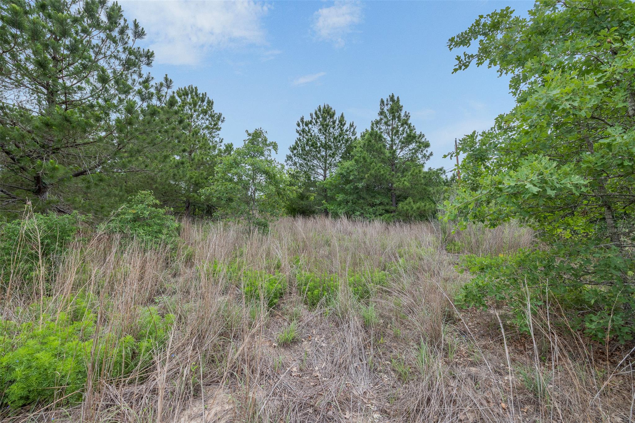 TBD Lot 20c County RD