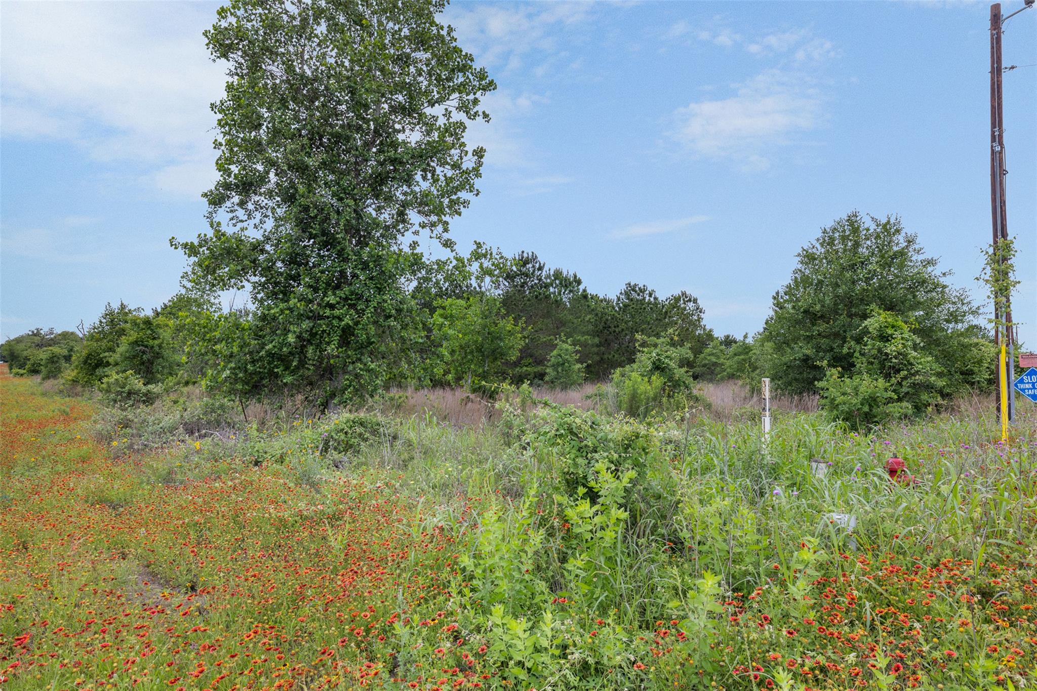 TBD Lot 20c County RD