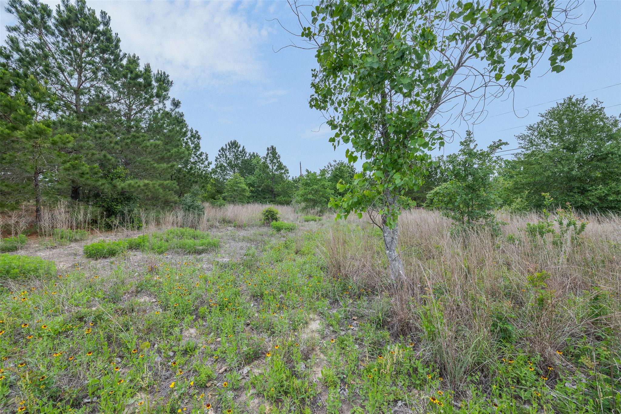 TBD Lot 20c County RD