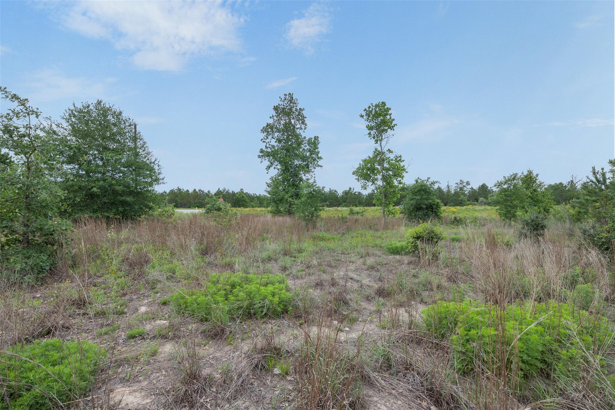 TBD Lot 20c County RD