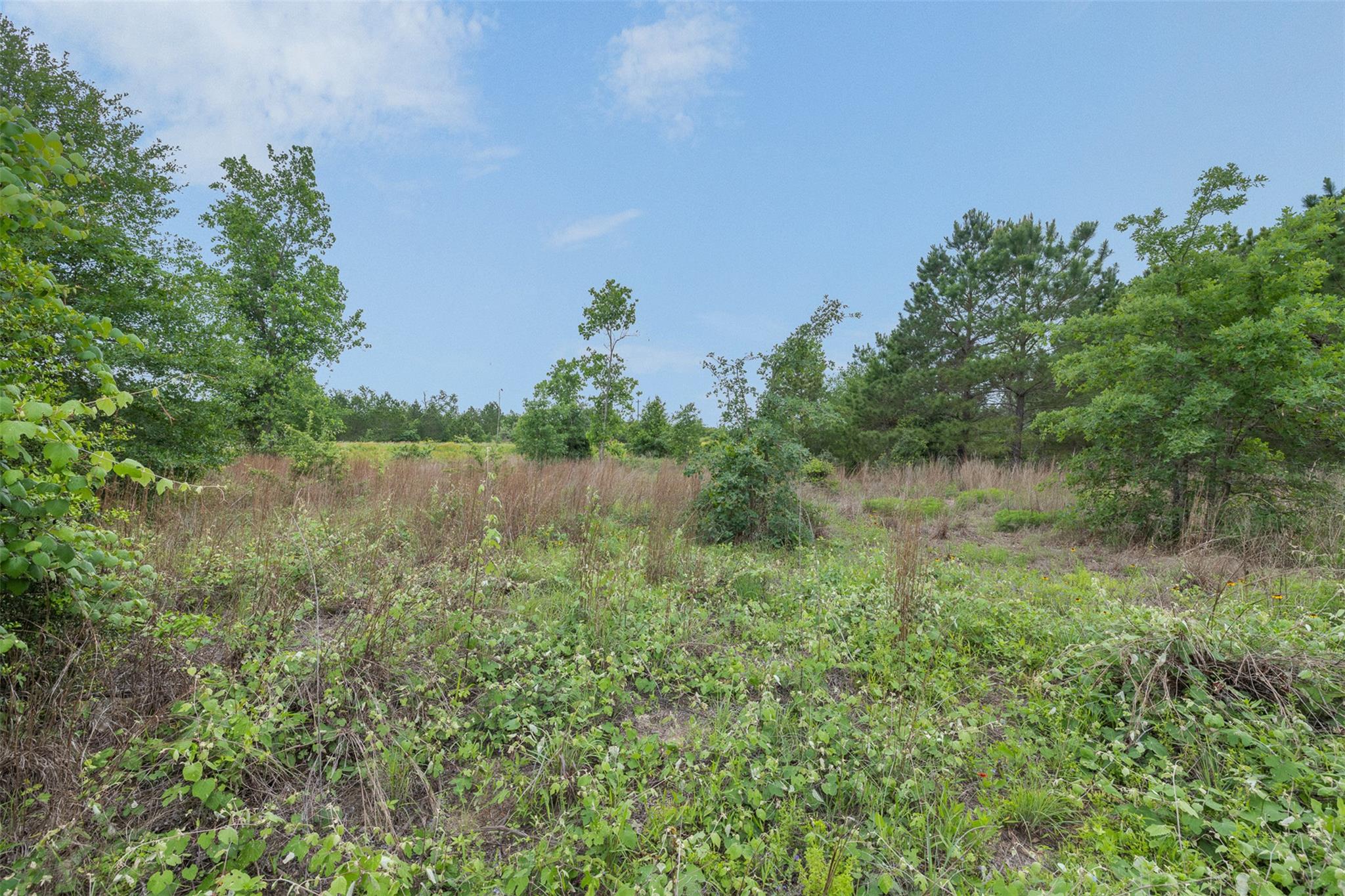 TBD Lot 20c County RD