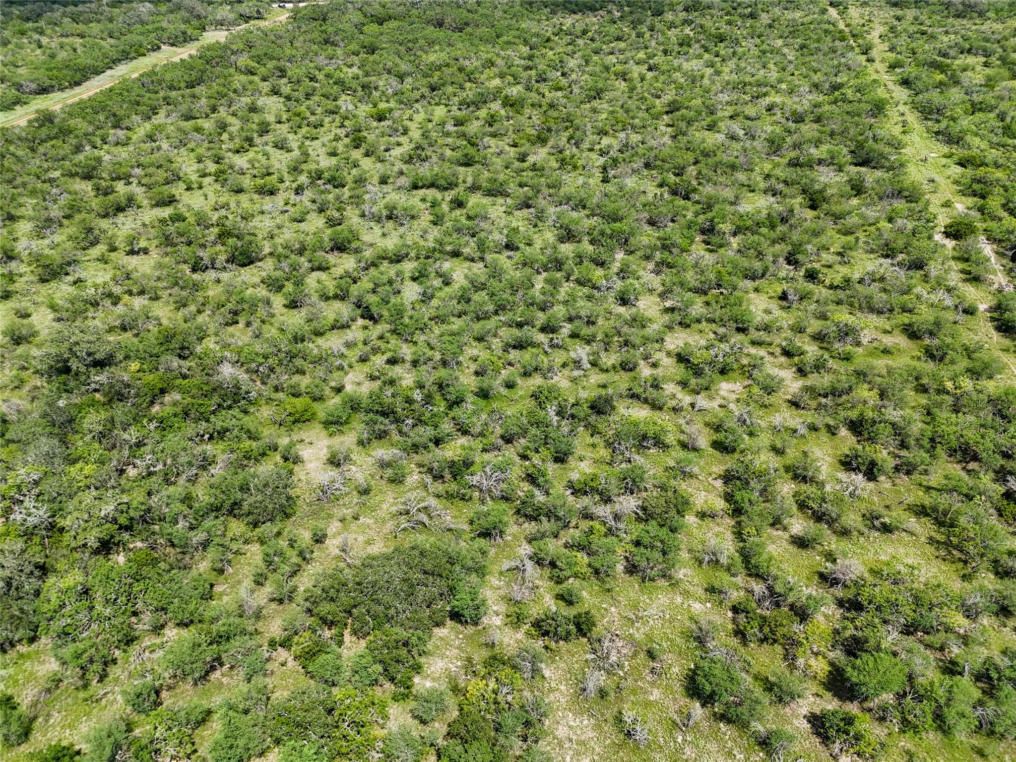 Lot 9 County Road 211