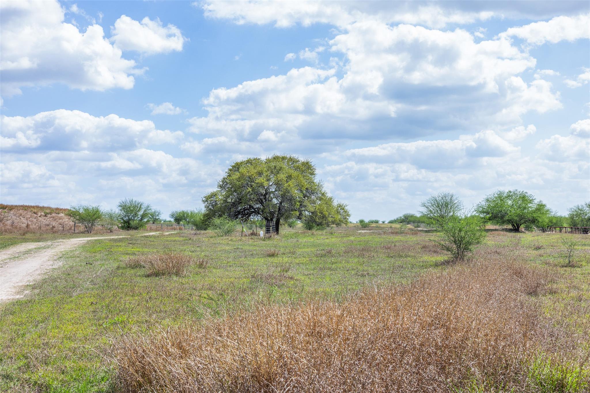 22.22 Acres Concrete Edgar RD