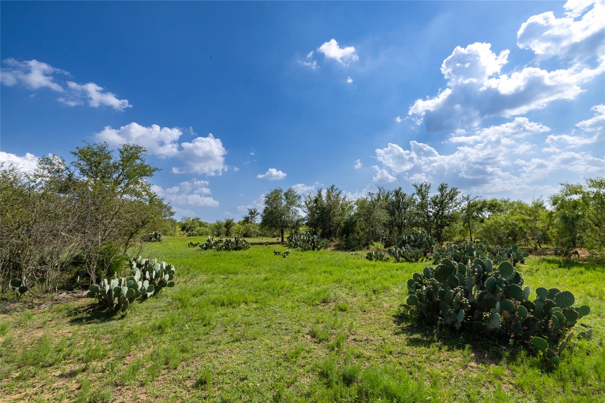 410 Green Acre DR
