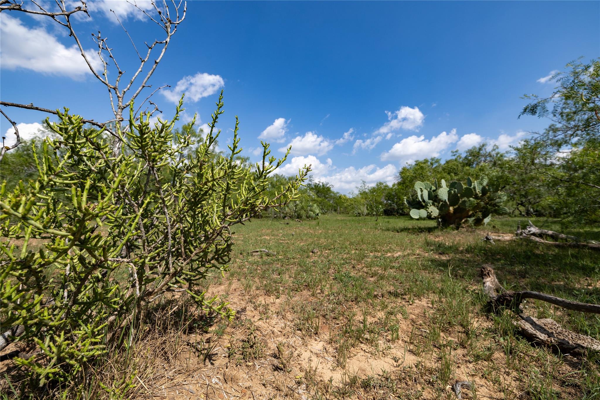 410 Green Acre DR