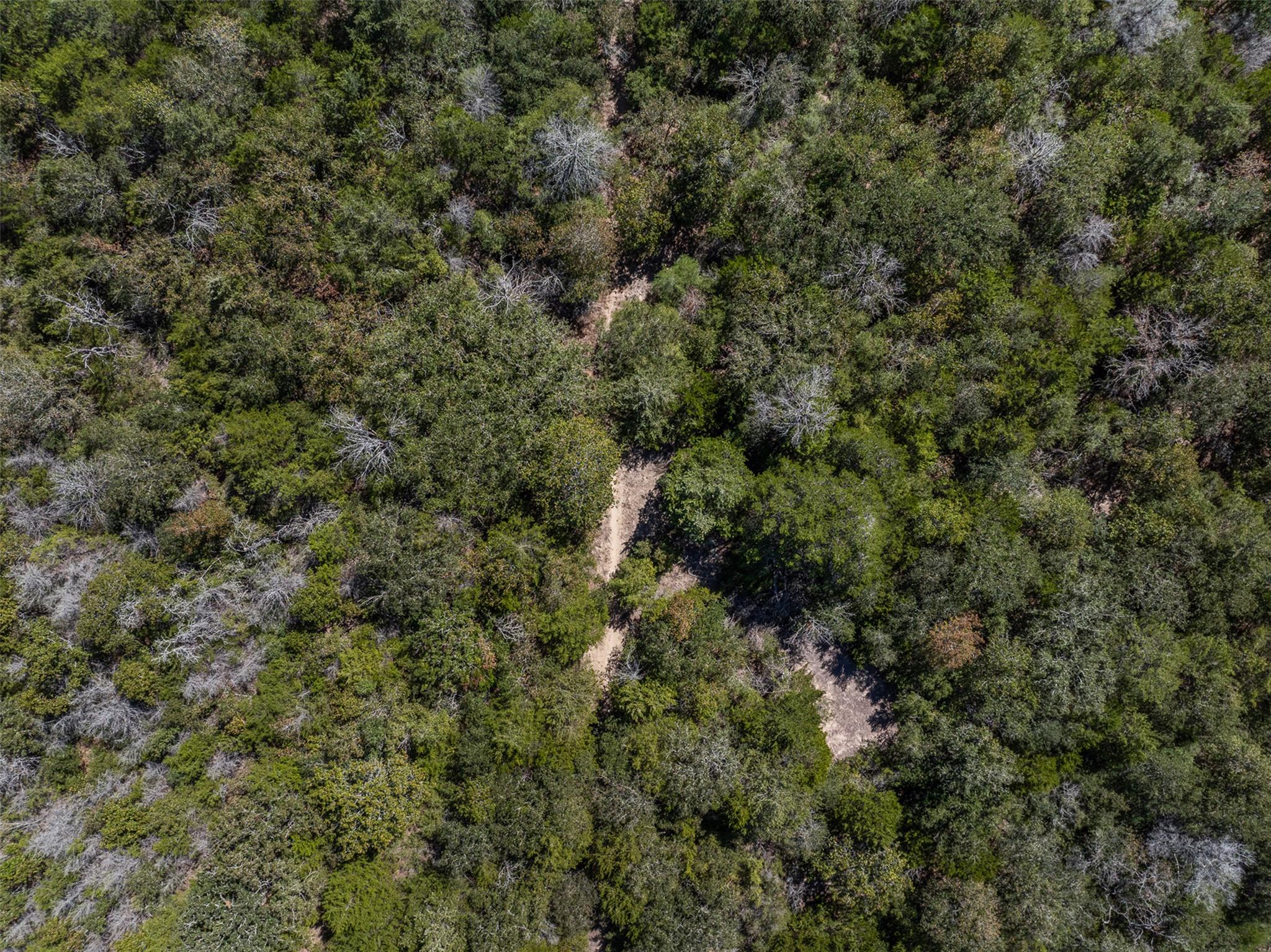 2025 Mule Creek RD, Harwood