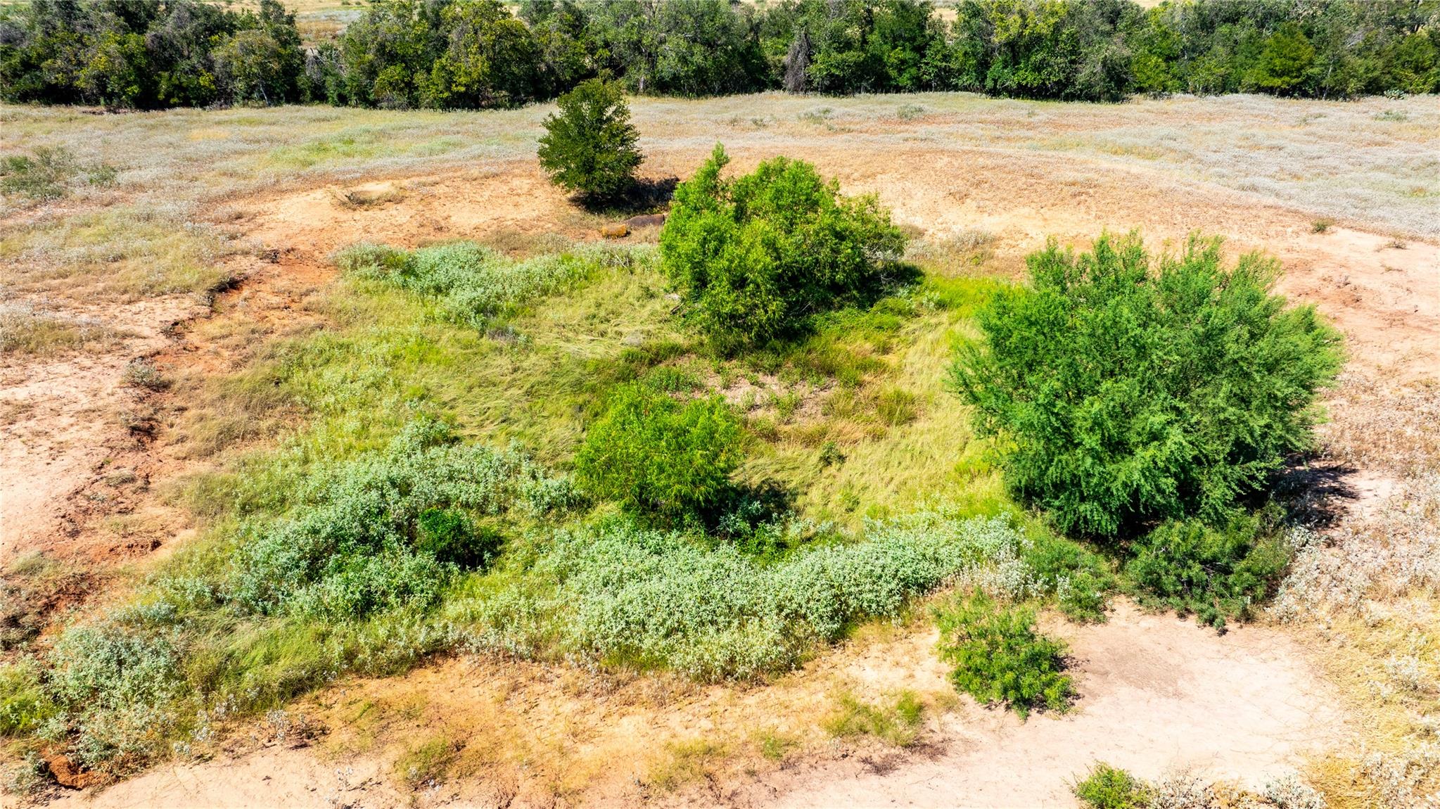 Lot 3B Tumbleweed TRL