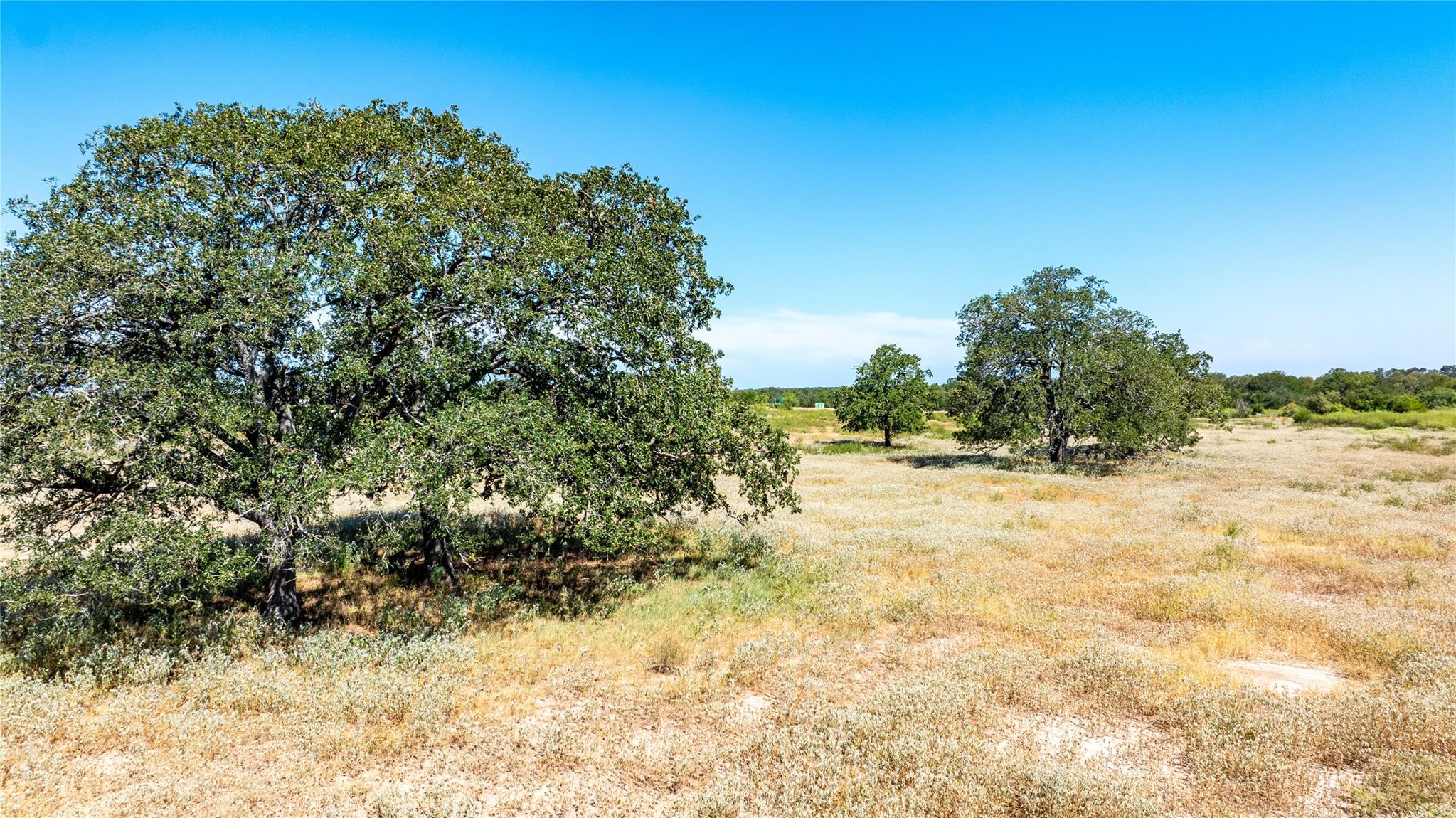 Lot 3B Tumbleweed TRL