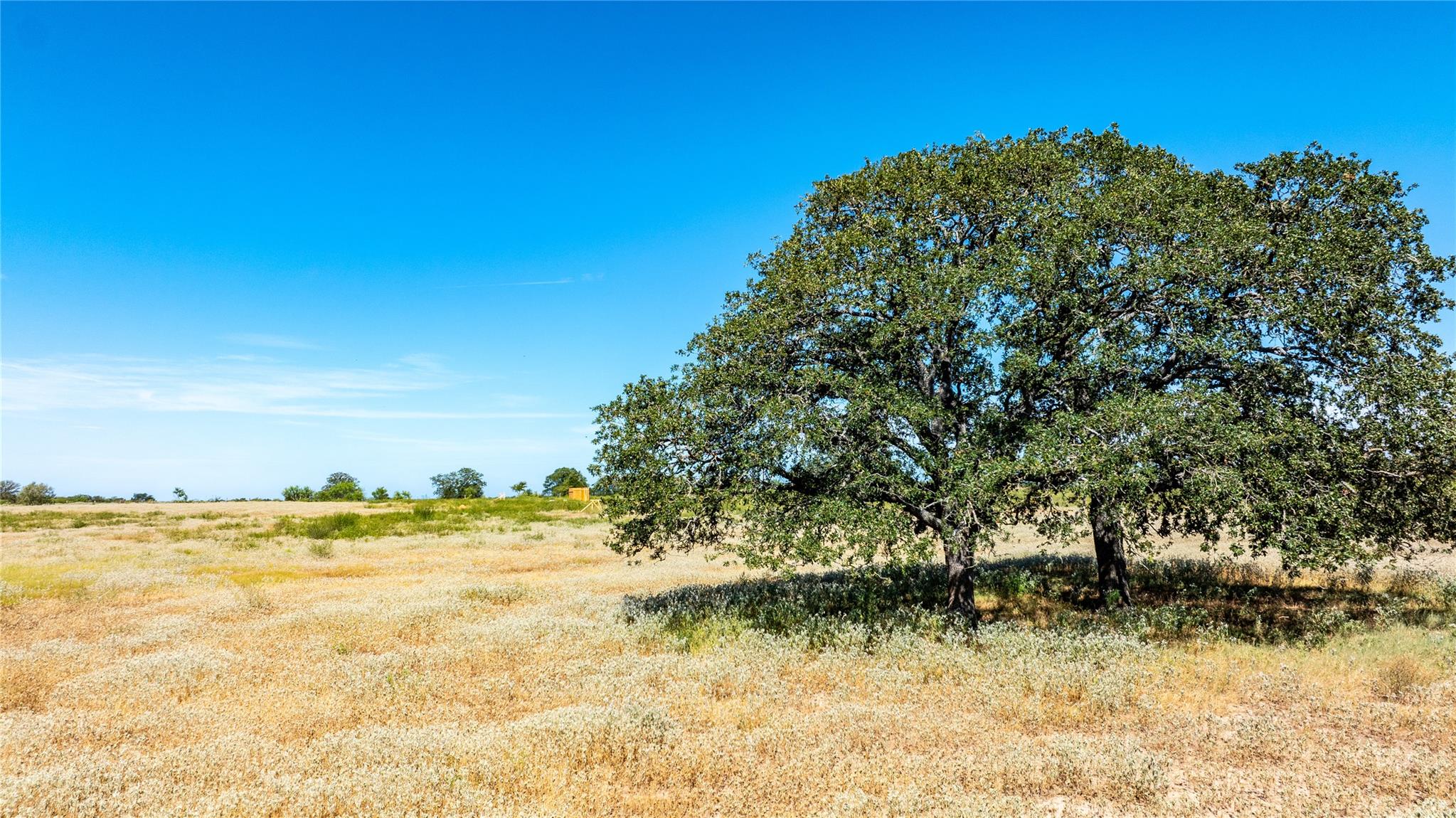 Lot 3B Tumbleweed TRL