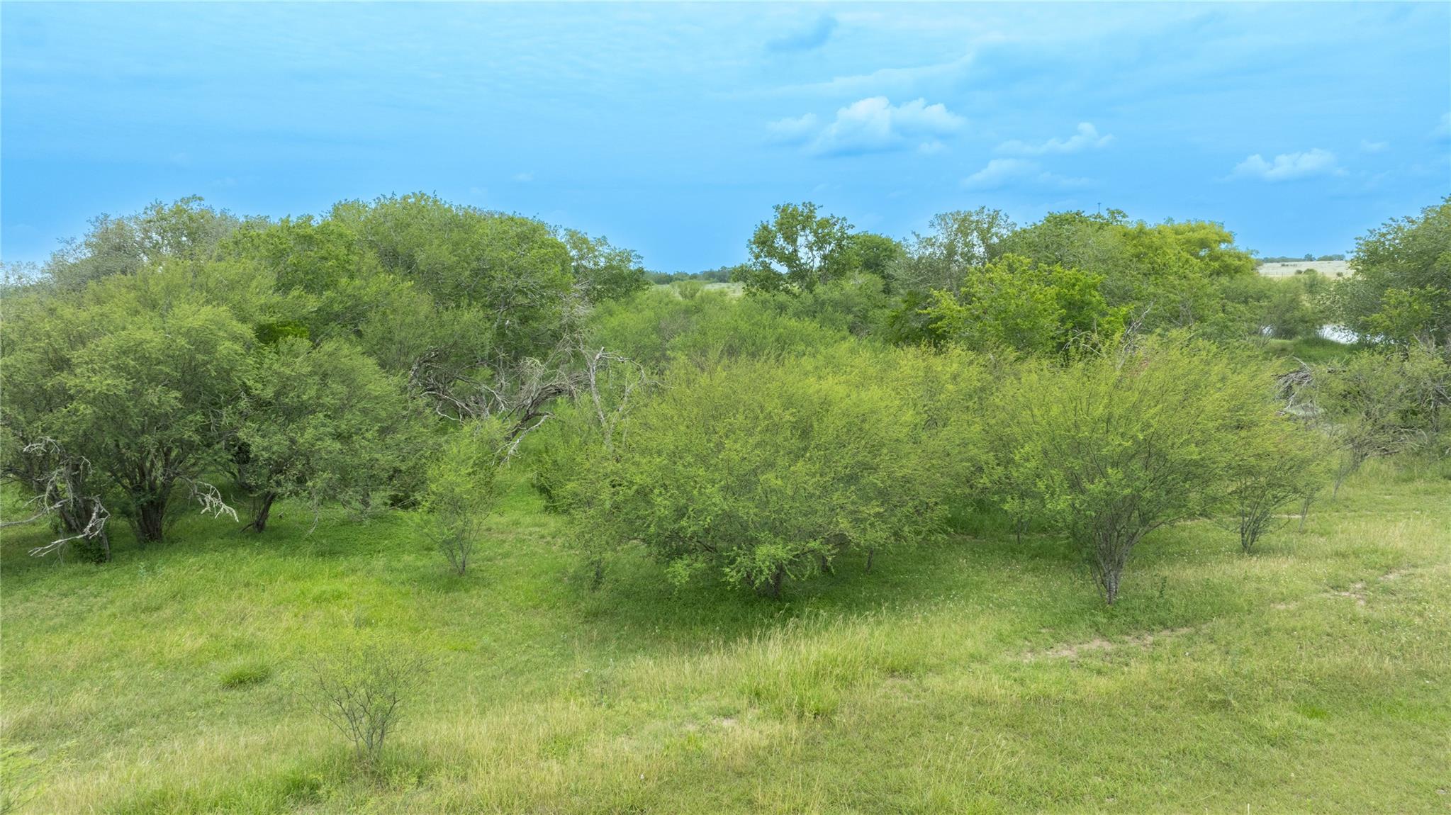 Lot 1 Concrete Edgar RD