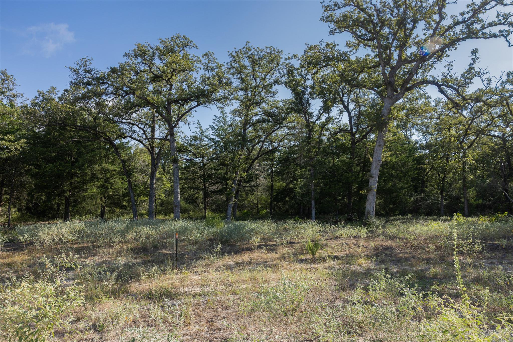 180 Autumn Oak Ct CT